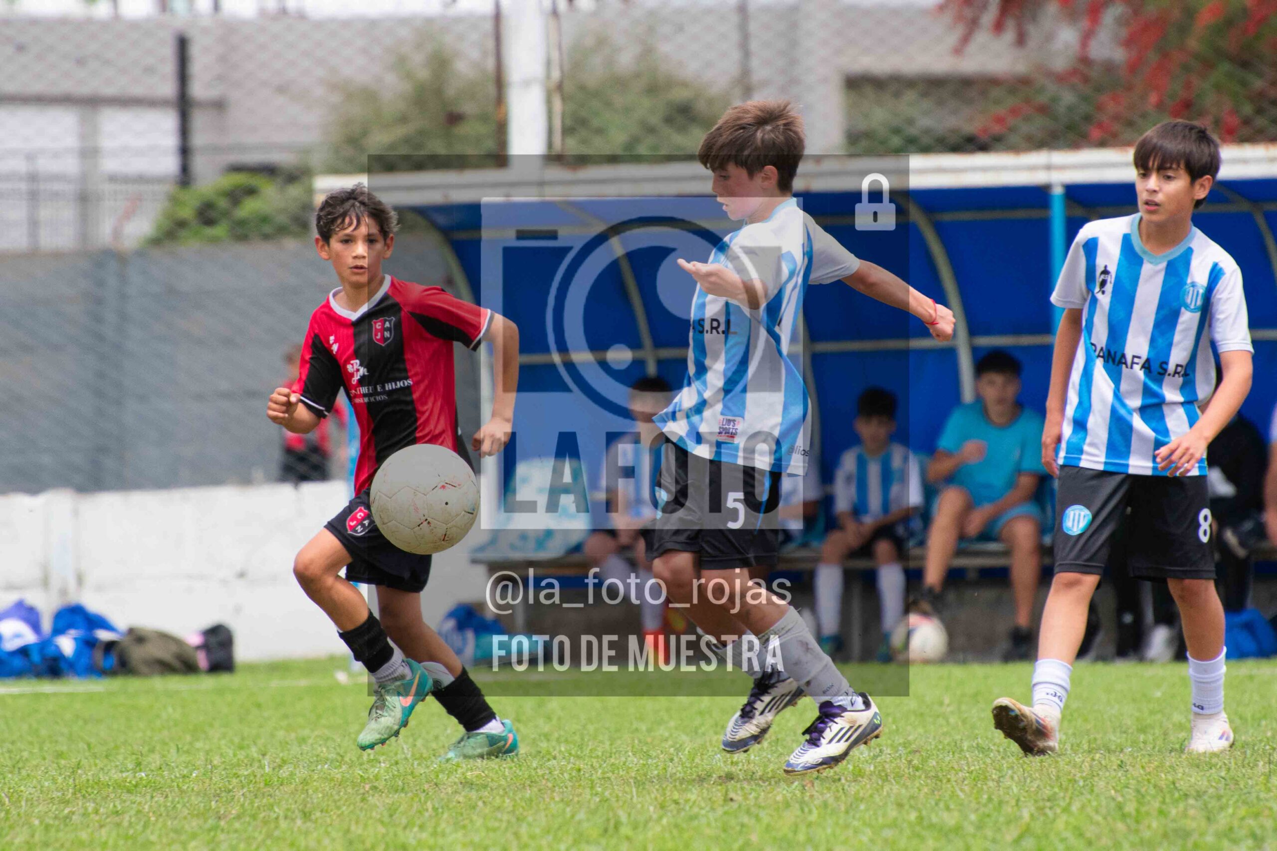 Fotografía 2014-ARG-NEW-124-scaled de ARGENTINO - NEWBERY / 2014 / 8-11