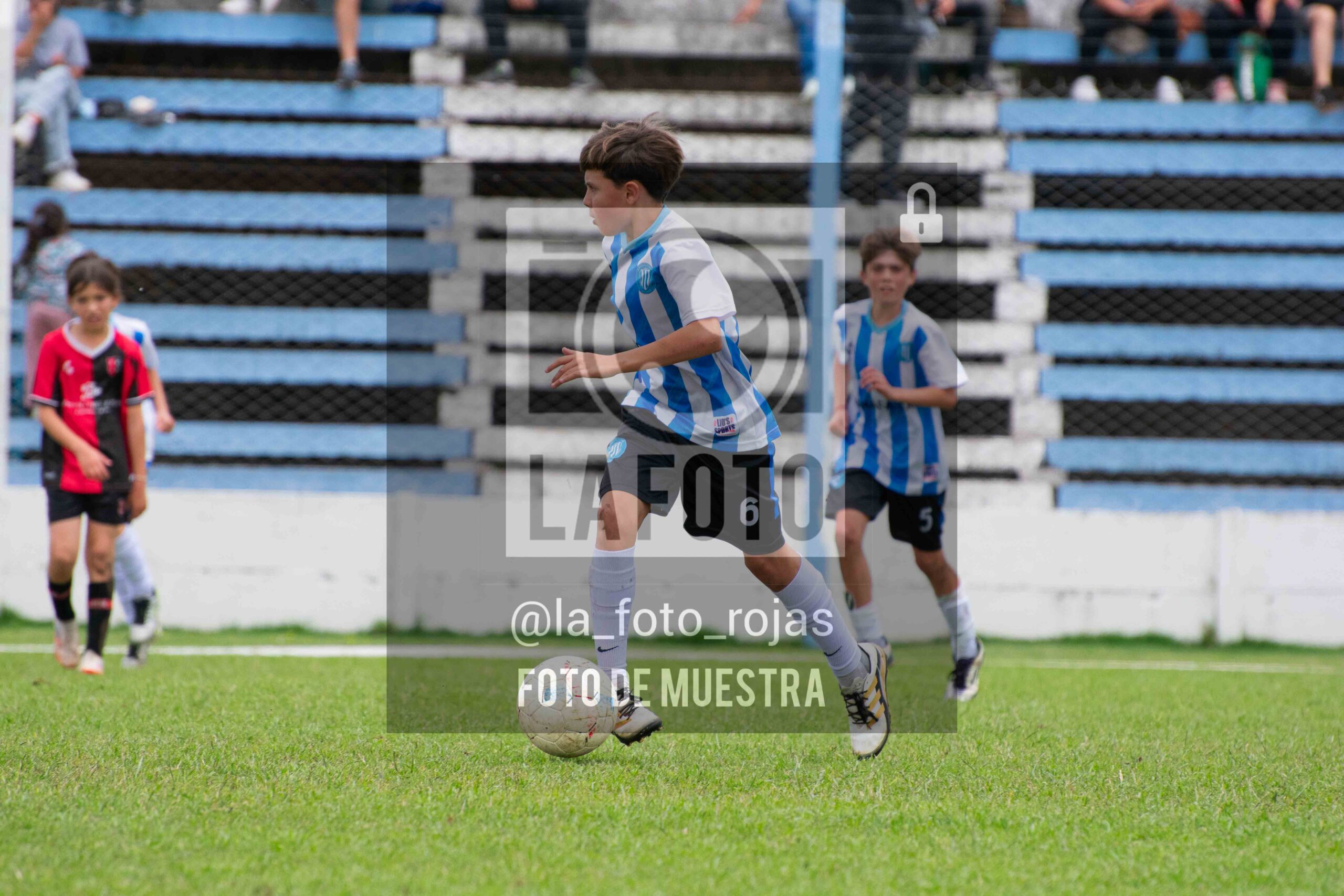 Fotografía 2014-ARG-NEW-127-scaled de ARGENTINO - NEWBERY / 2014 / 8-11