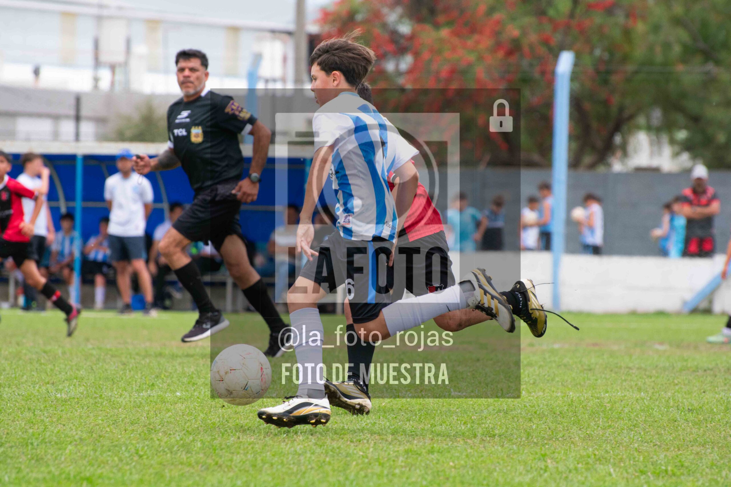 Fotografía 2014-ARG-NEW-128-scaled de ARGENTINO - NEWBERY / 2014 / 8-11