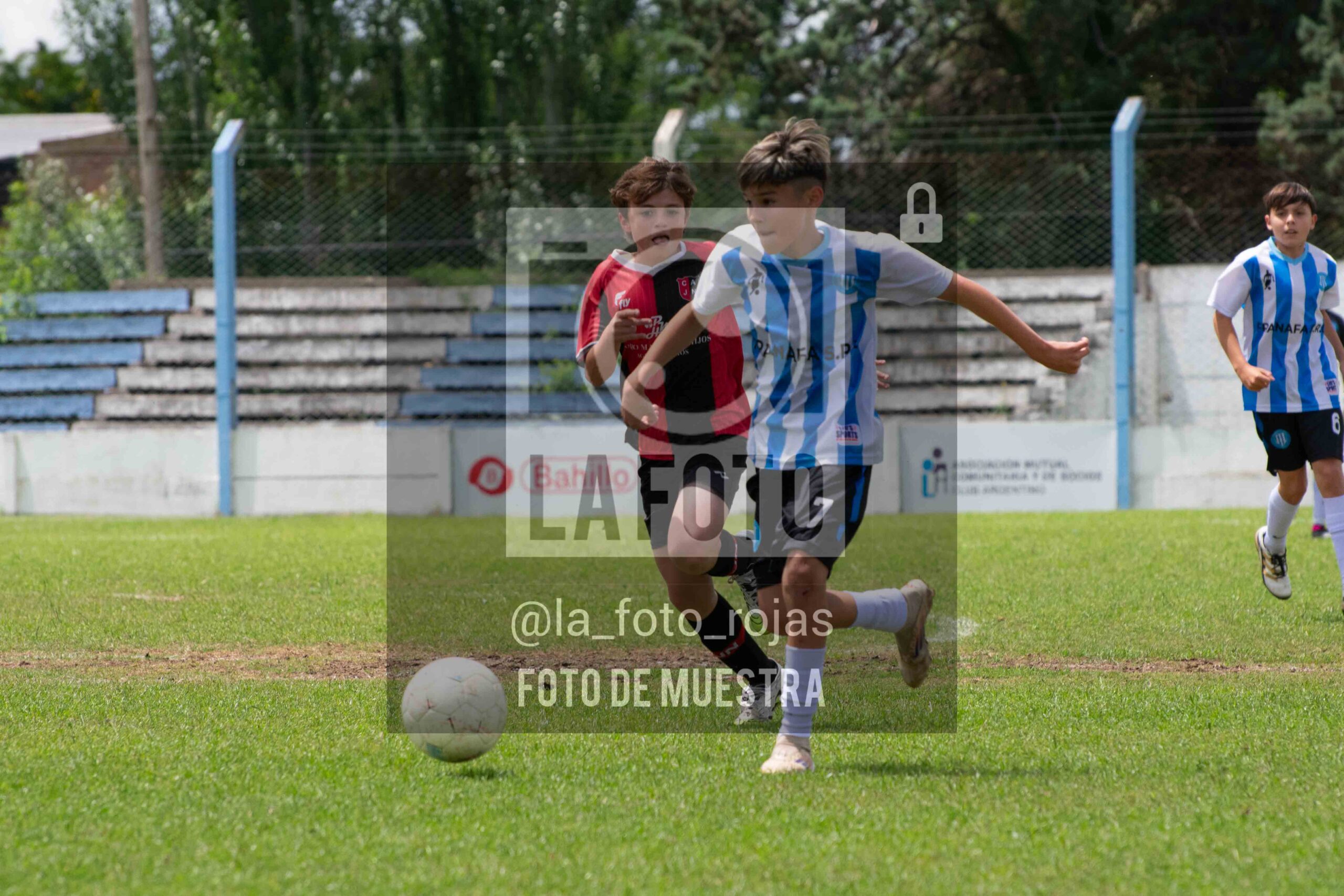 Fotografía 2014-ARG-NEW-13-scaled de ARGENTINO - NEWBERY / 2014 / 8-11