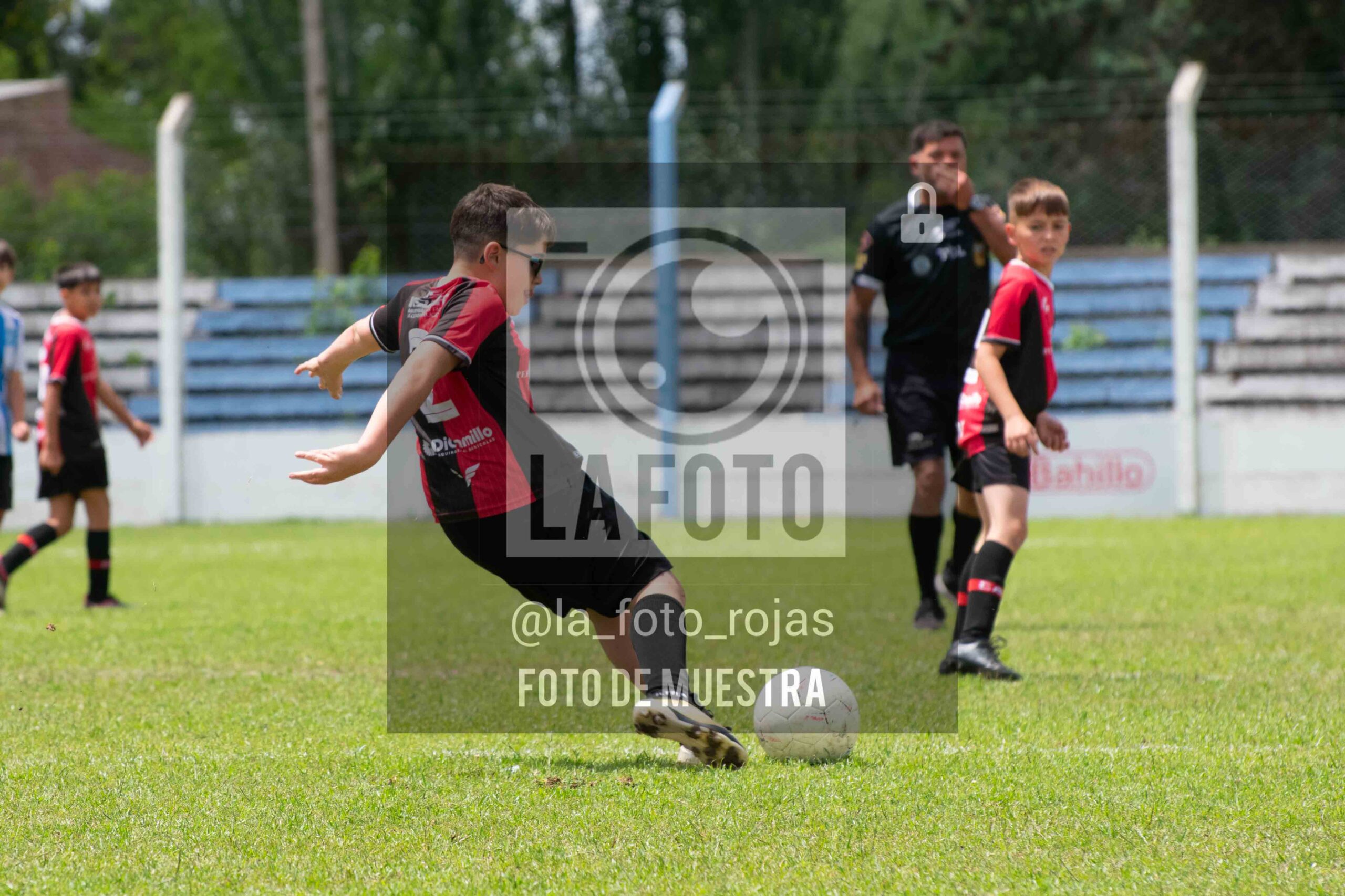 Fotografía 2014-ARG-NEW-14-scaled de ARGENTINO - NEWBERY / 2014 / 8-11