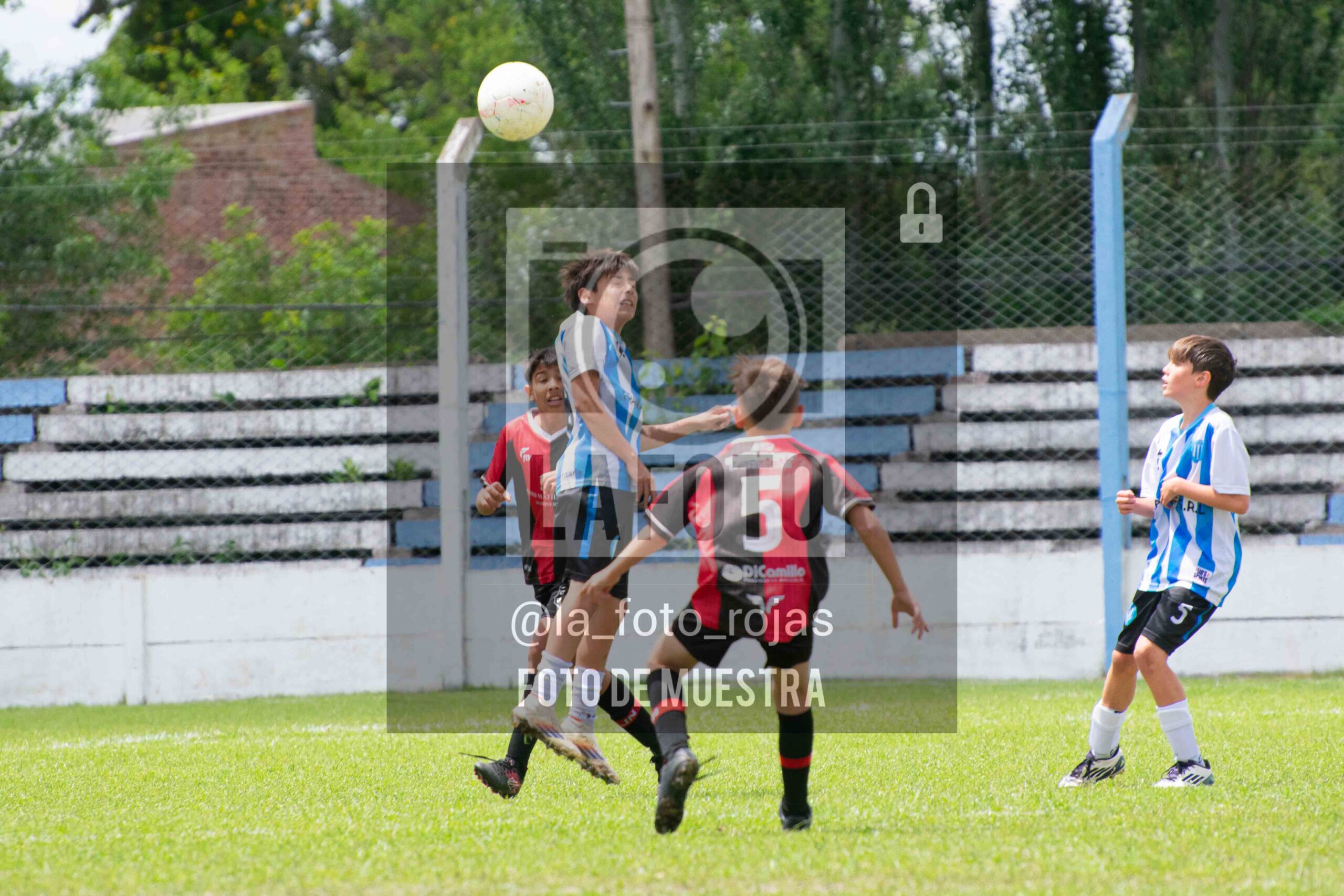 Fotografía 2014-ARG-NEW-16-scaled de ARGENTINO - NEWBERY / 2014 / 8-11