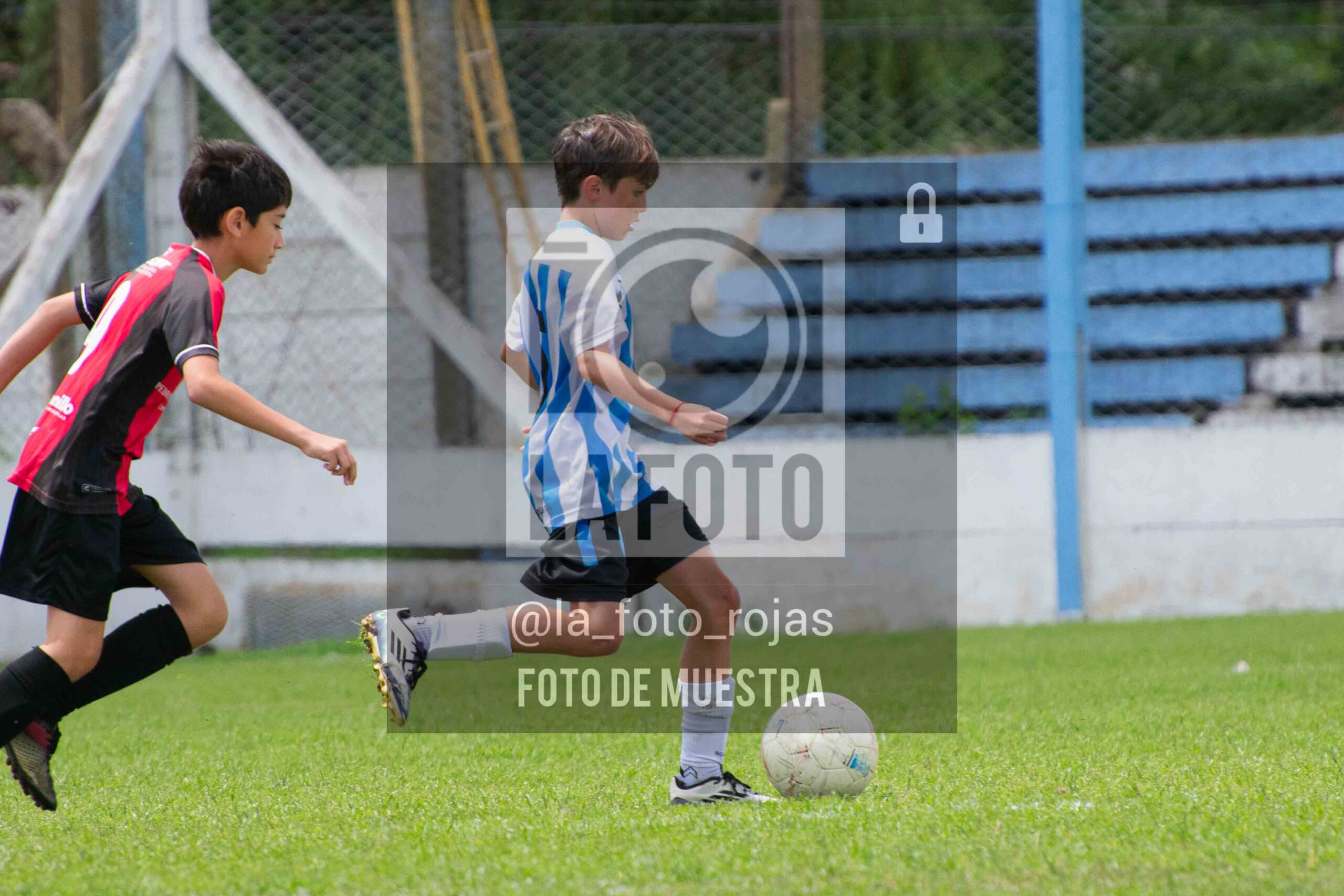 Fotografía 2014-ARG-NEW-17-scaled de ARGENTINO - NEWBERY / 2014 / 8-11