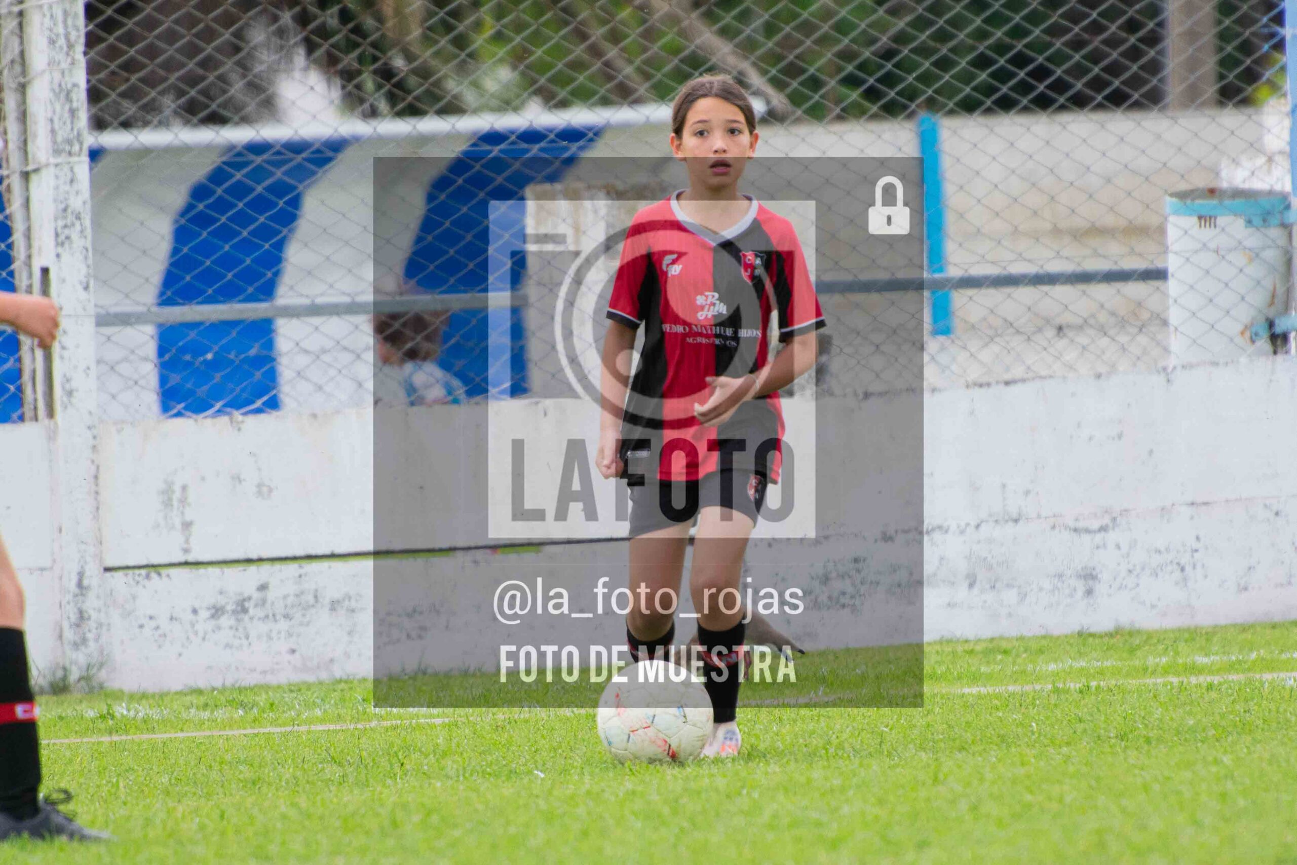 Fotografía 2014-ARG-NEW-21-scaled de ARGENTINO - NEWBERY / 2014 / 8-11