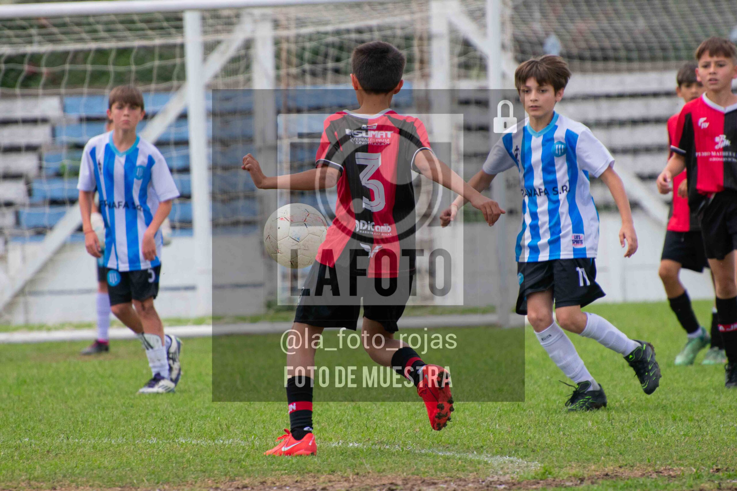 Fotografía 2014-ARG-NEW-26-scaled de ARGENTINO - NEWBERY / 2014 / 8-11