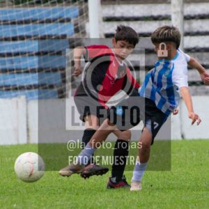 Fotografía 2014-ARG-NEW-28-scaled de ARGENTINO - NEWBERY / 2014 / 8-11