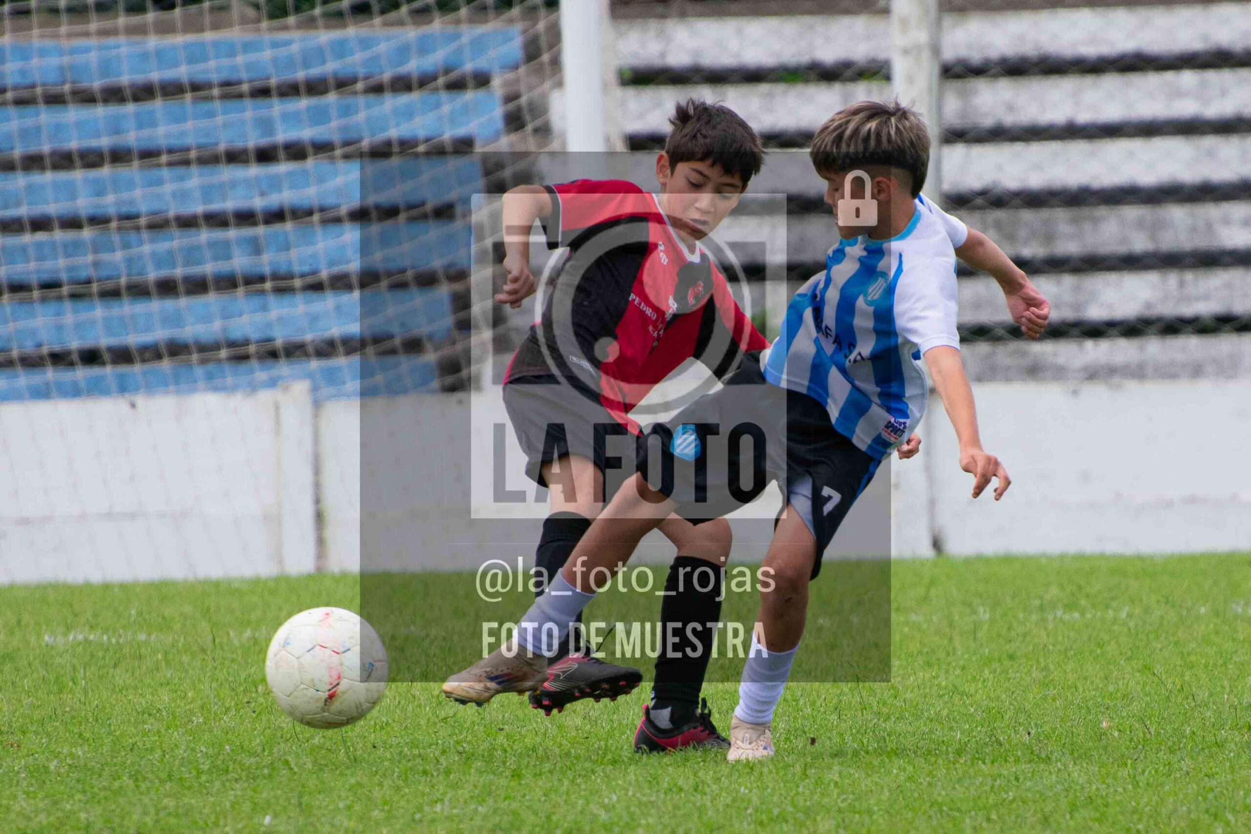 Fotografía 2014-ARG-NEW-28-scaled de ARGENTINO - NEWBERY / 2014 / 8-11