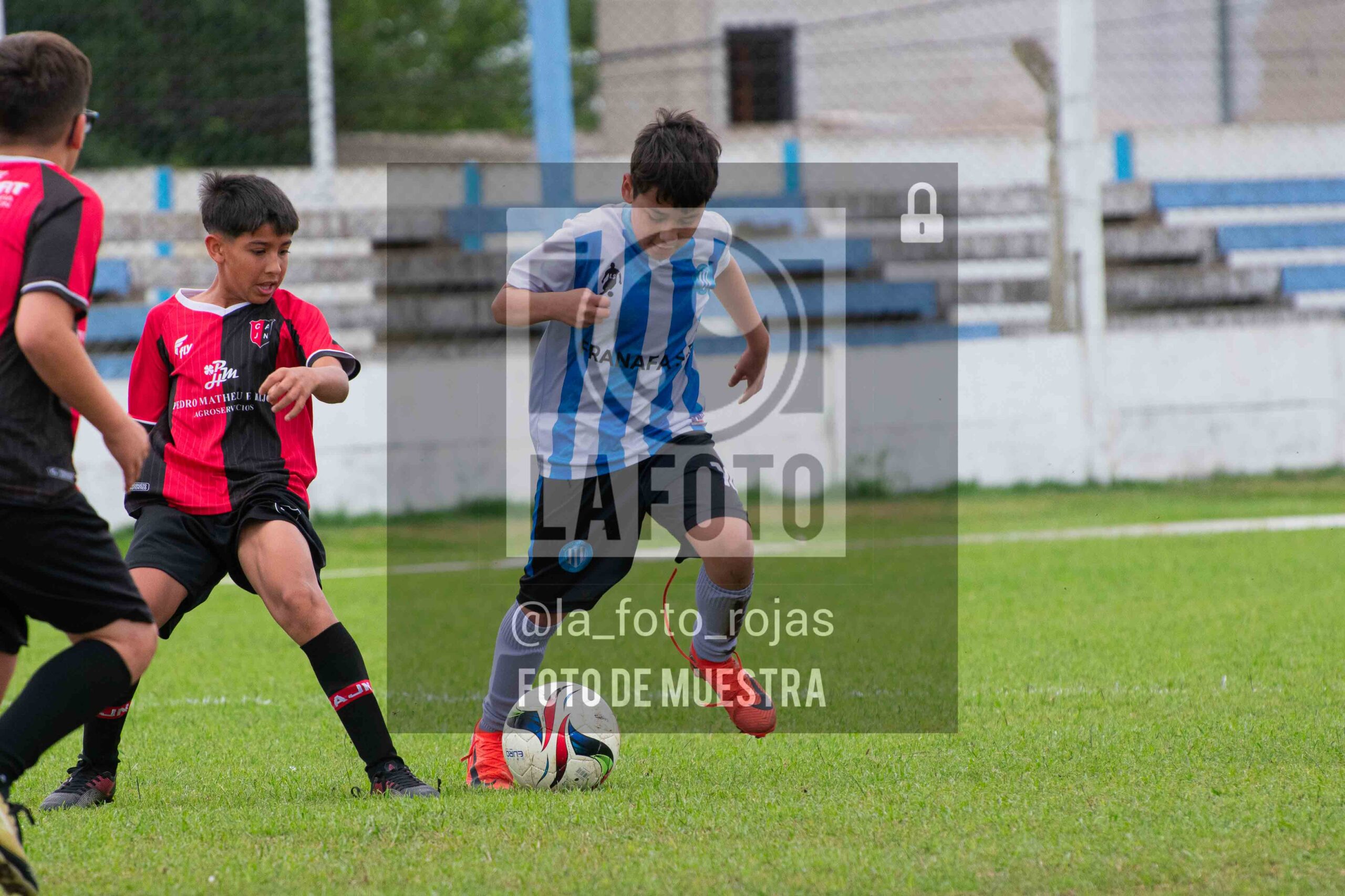 Fotografía 2014-ARG-NEW-32-scaled de ARGENTINO - NEWBERY / 2014 / 8-11