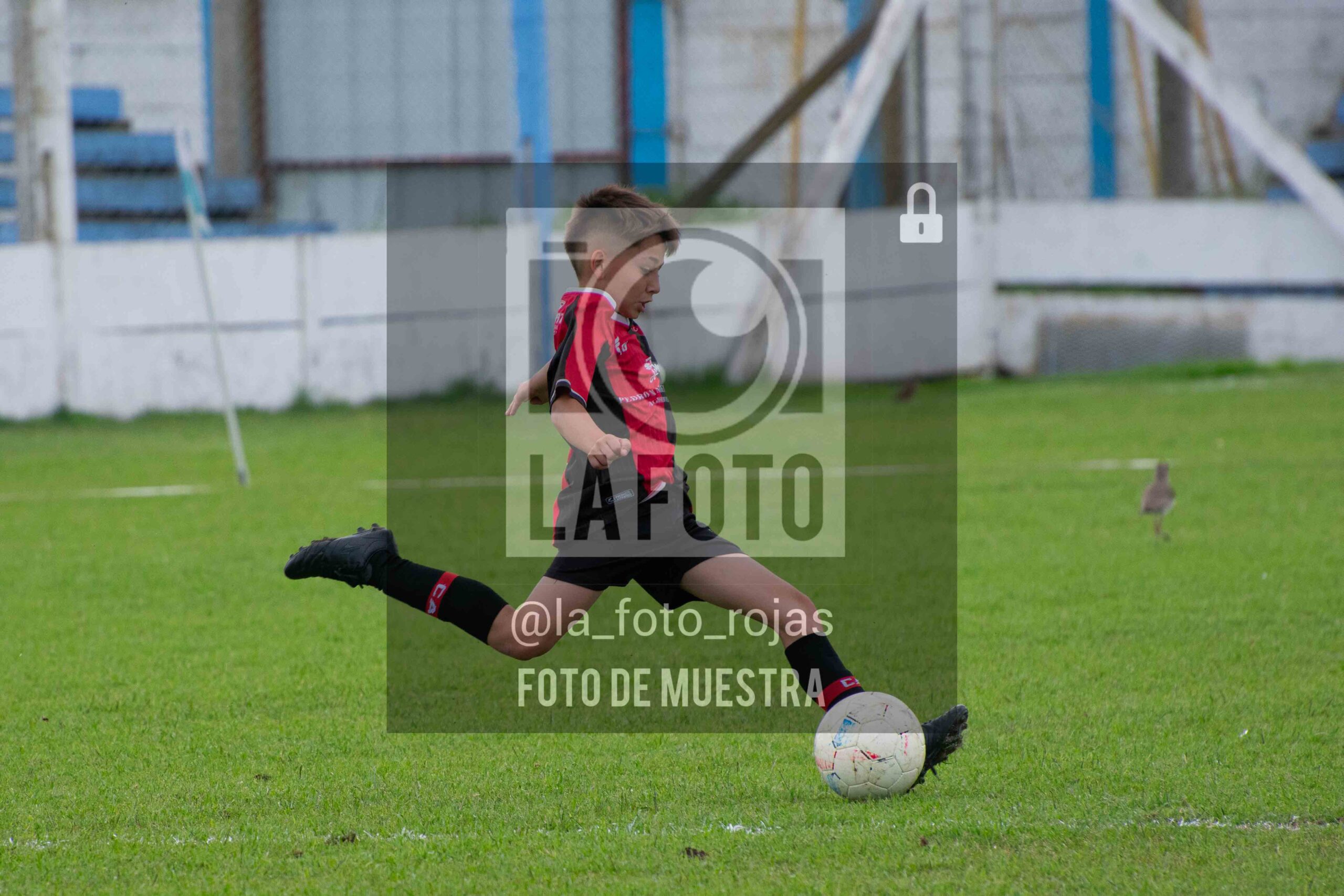 Fotografía 2014-ARG-NEW-36-scaled de ARGENTINO - NEWBERY / 2014 / 8-11