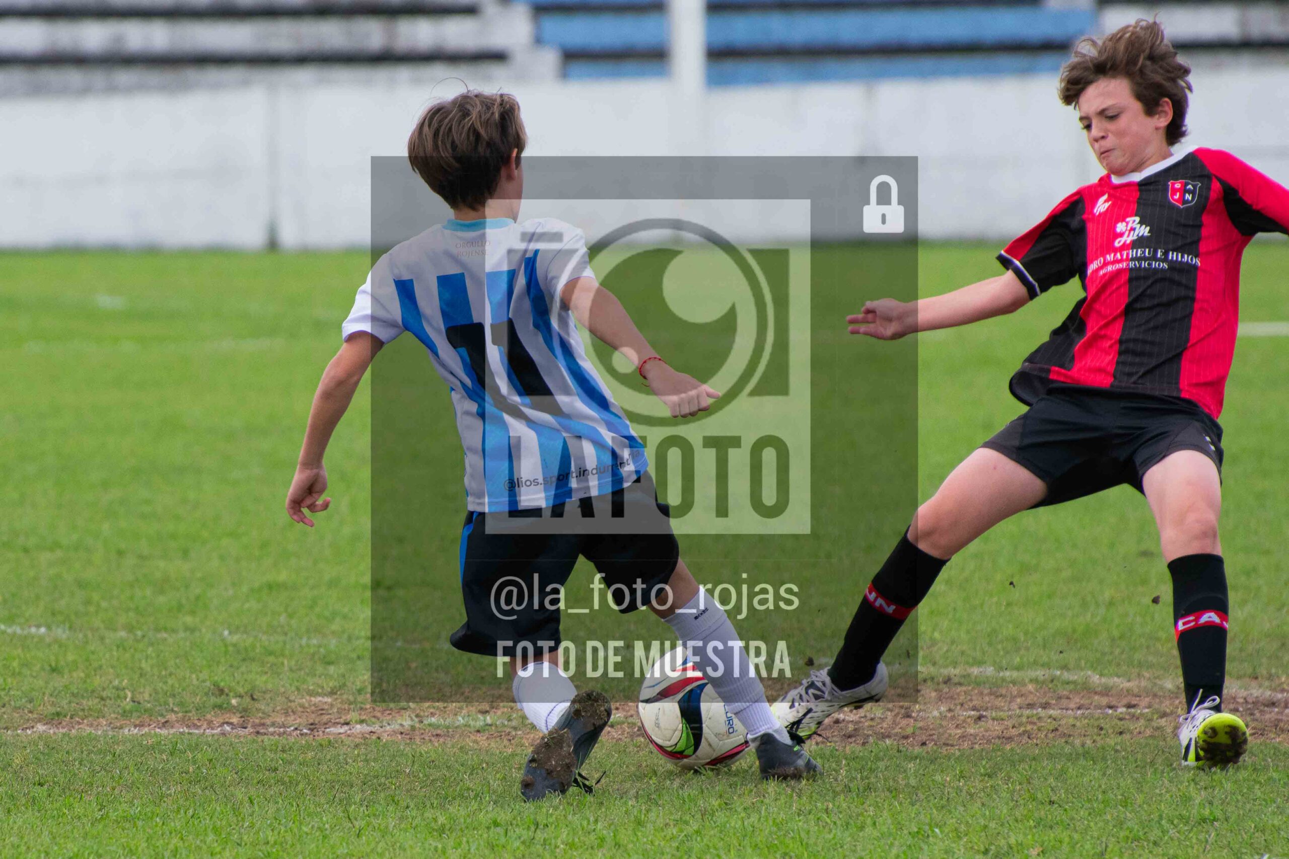 Fotografía 2014-ARG-NEW-37-scaled de ARGENTINO - NEWBERY / 2014 / 8-11