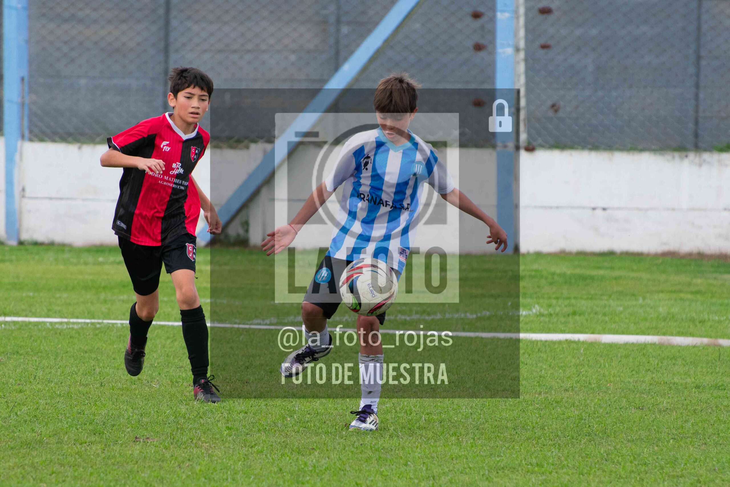 Fotografía 2014-ARG-NEW-38-scaled de ARGENTINO - NEWBERY / 2014 / 8-11