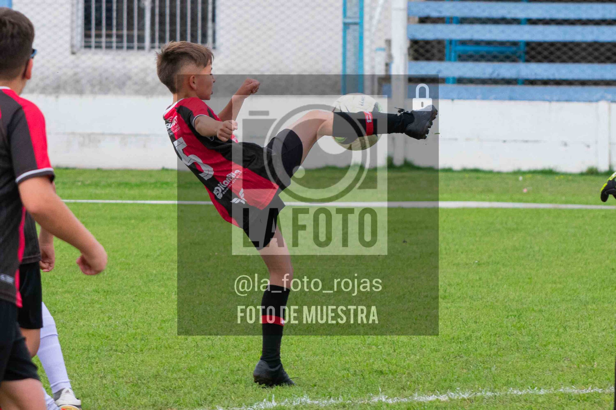 Fotografía 2014-ARG-NEW-42-scaled de ARGENTINO - NEWBERY / 2014 / 8-11
