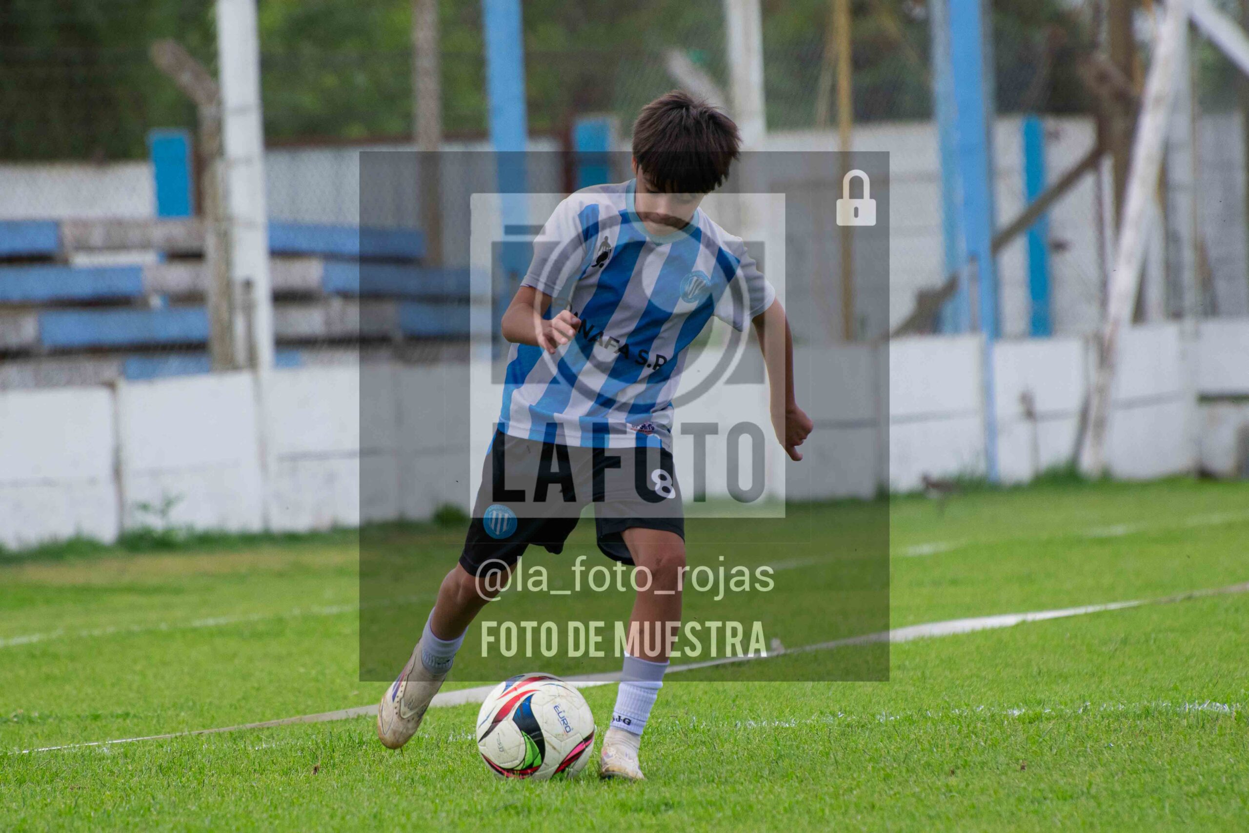 Fotografía 2014-ARG-NEW-46-scaled de ARGENTINO - NEWBERY / 2014 / 8-11