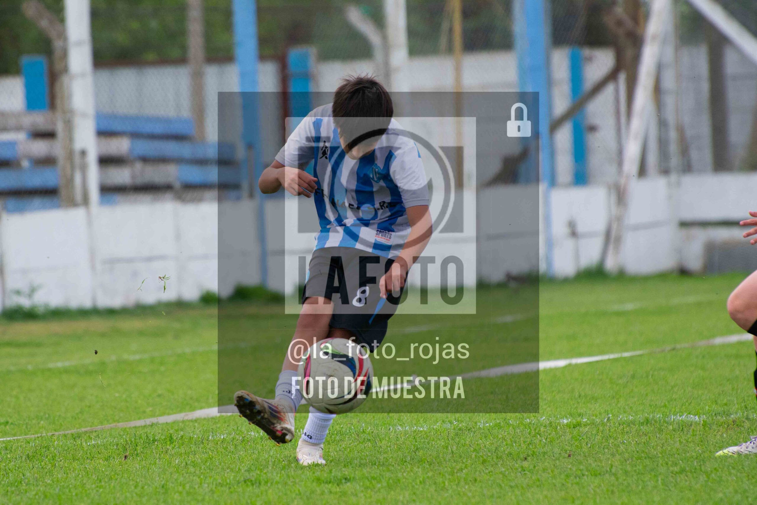 Fotografía 2014-ARG-NEW-47-scaled de ARGENTINO - NEWBERY / 2014 / 8-11