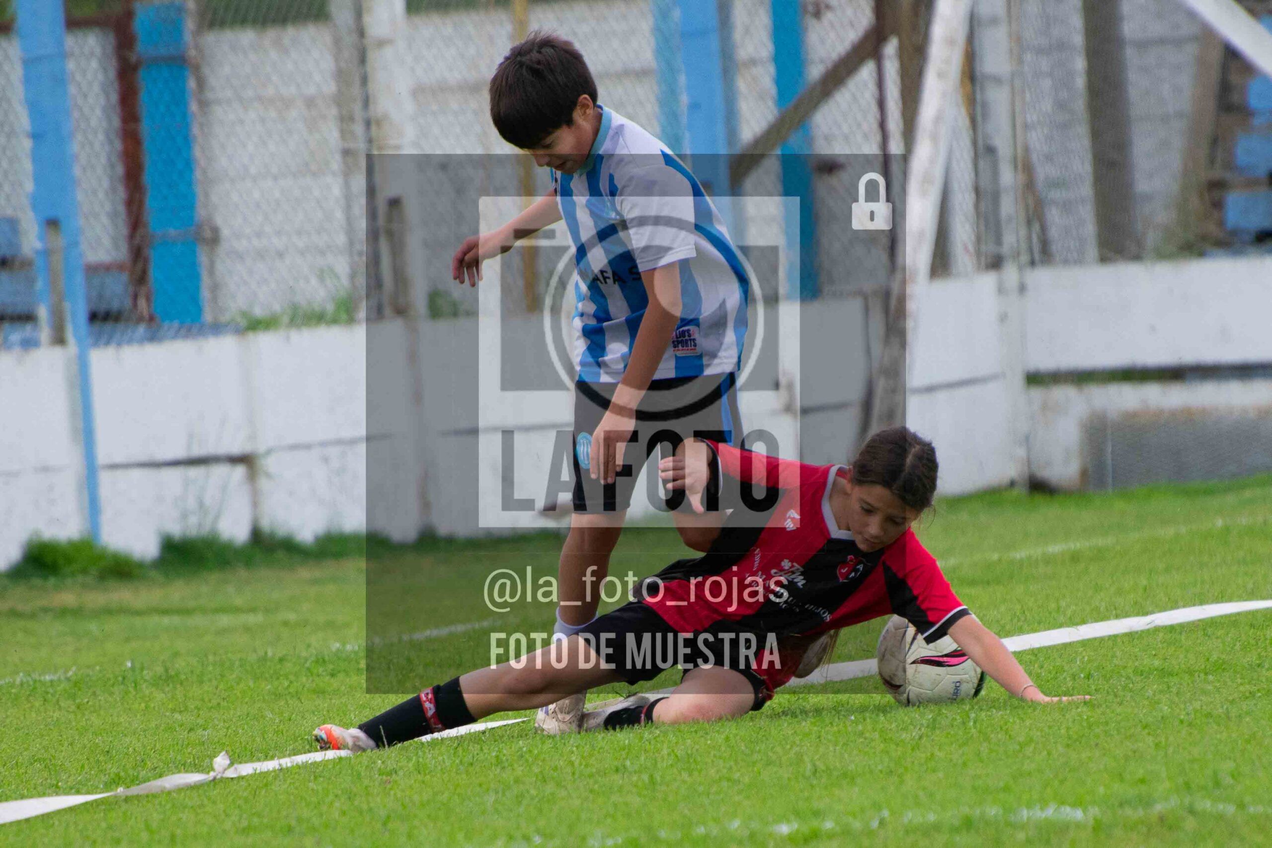 Fotografía 2014-ARG-NEW-50-scaled de ARGENTINO - NEWBERY / 2014 / 8-11