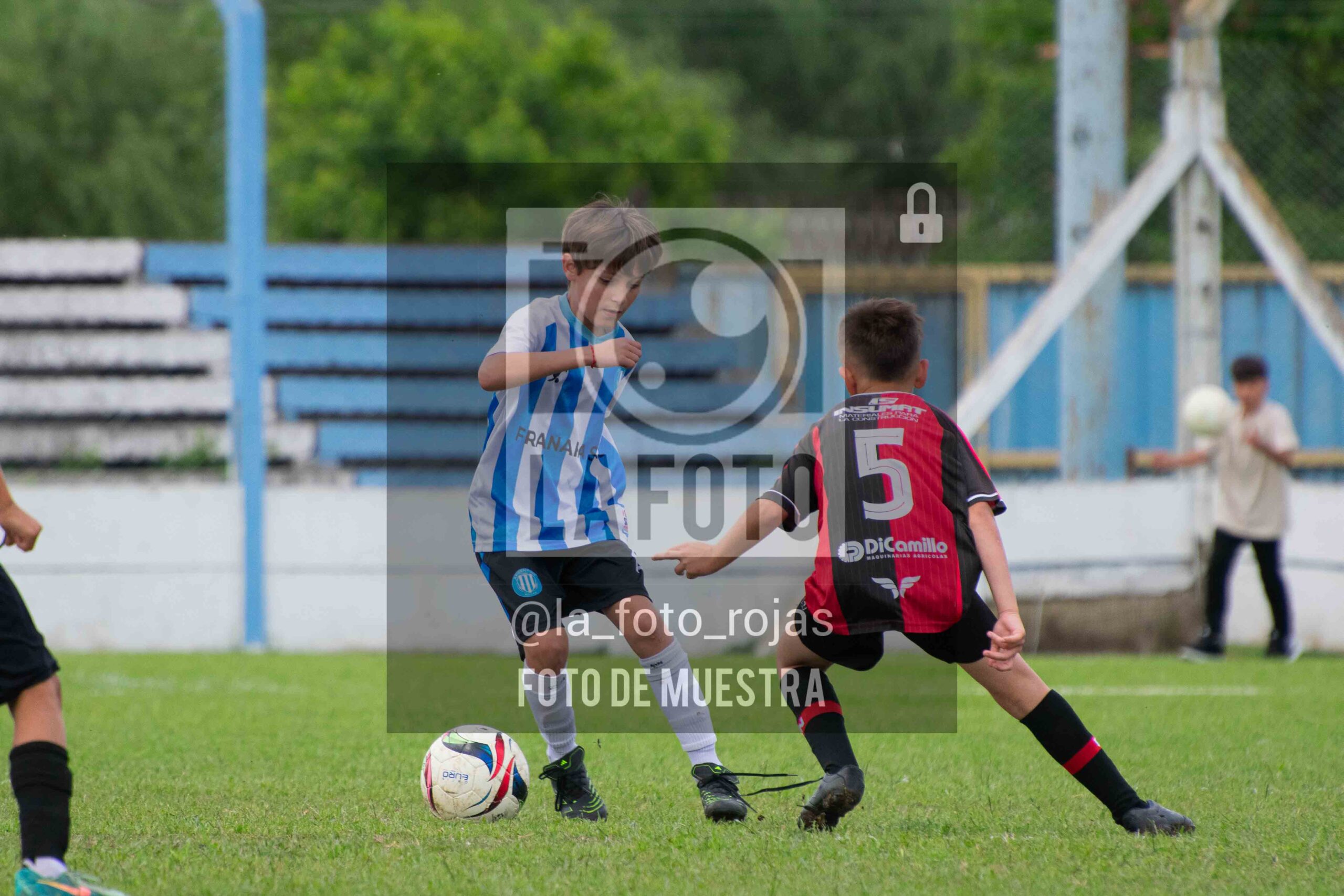 Fotografía 2014-ARG-NEW-51-scaled de ARGENTINO - NEWBERY / 2014 / 8-11