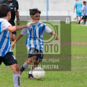 Fotografía 2014-ARG-NEW-53-scaled de ARGENTINO - NEWBERY / 2014 / 8-11