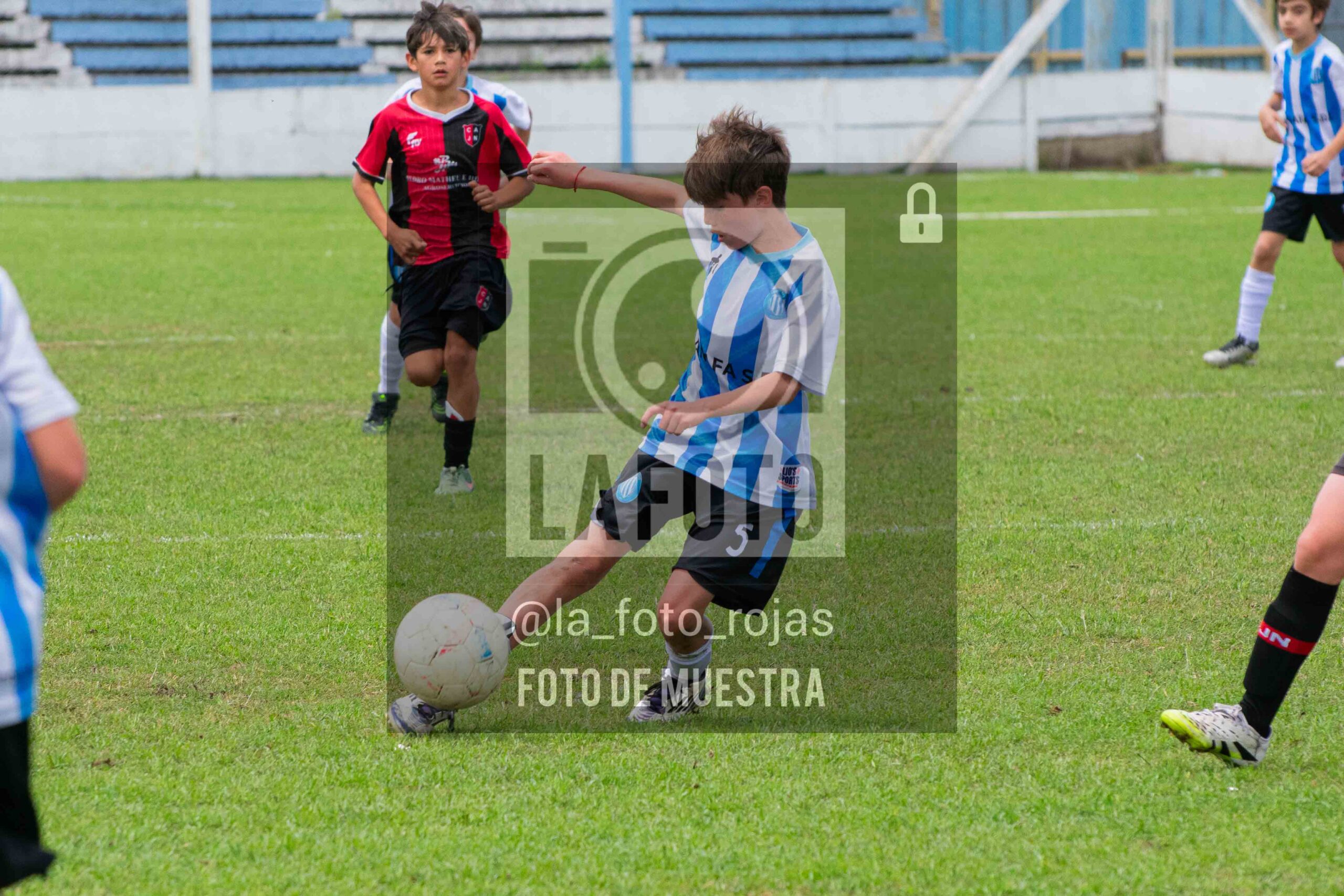 Fotografía 2014-ARG-NEW-54-scaled de ARGENTINO - NEWBERY / 2014 / 8-11