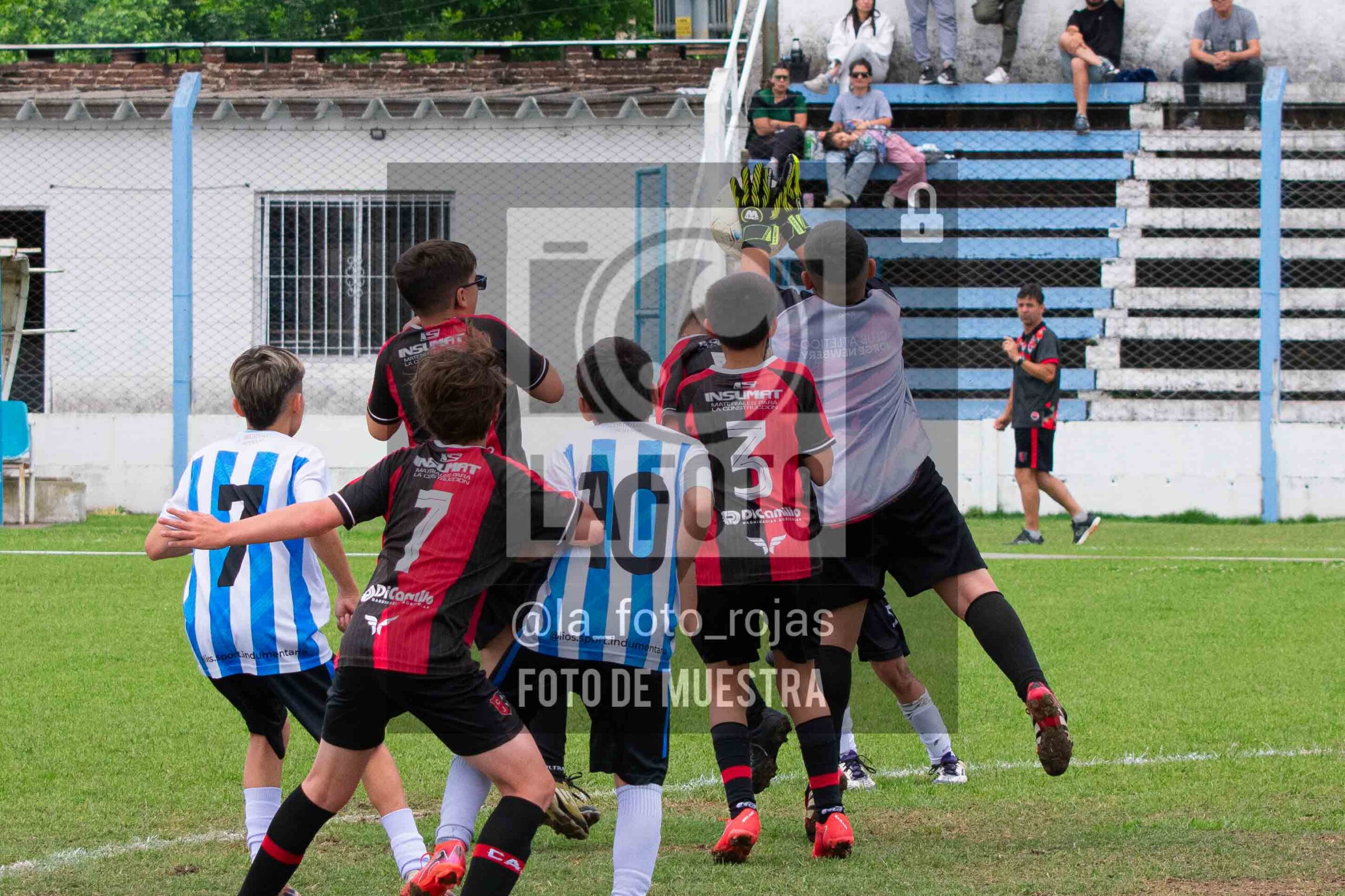 Fotografía 2014-ARG-NEW-57-scaled de ARGENTINO - NEWBERY / 2014 / 8-11