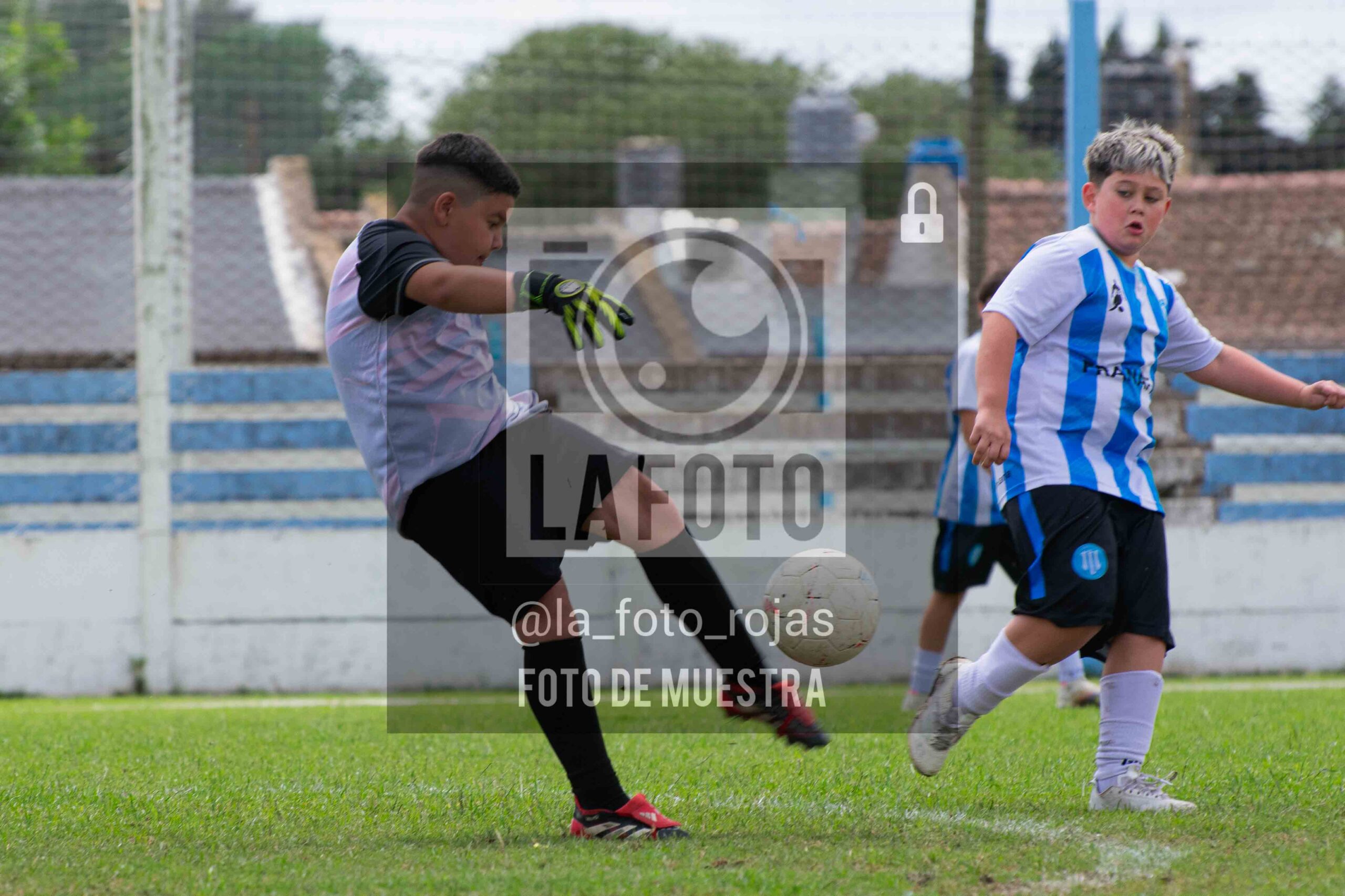 Fotografía 2014-ARG-NEW-6-scaled de ARGENTINO - NEWBERY / 2014 / 8-11