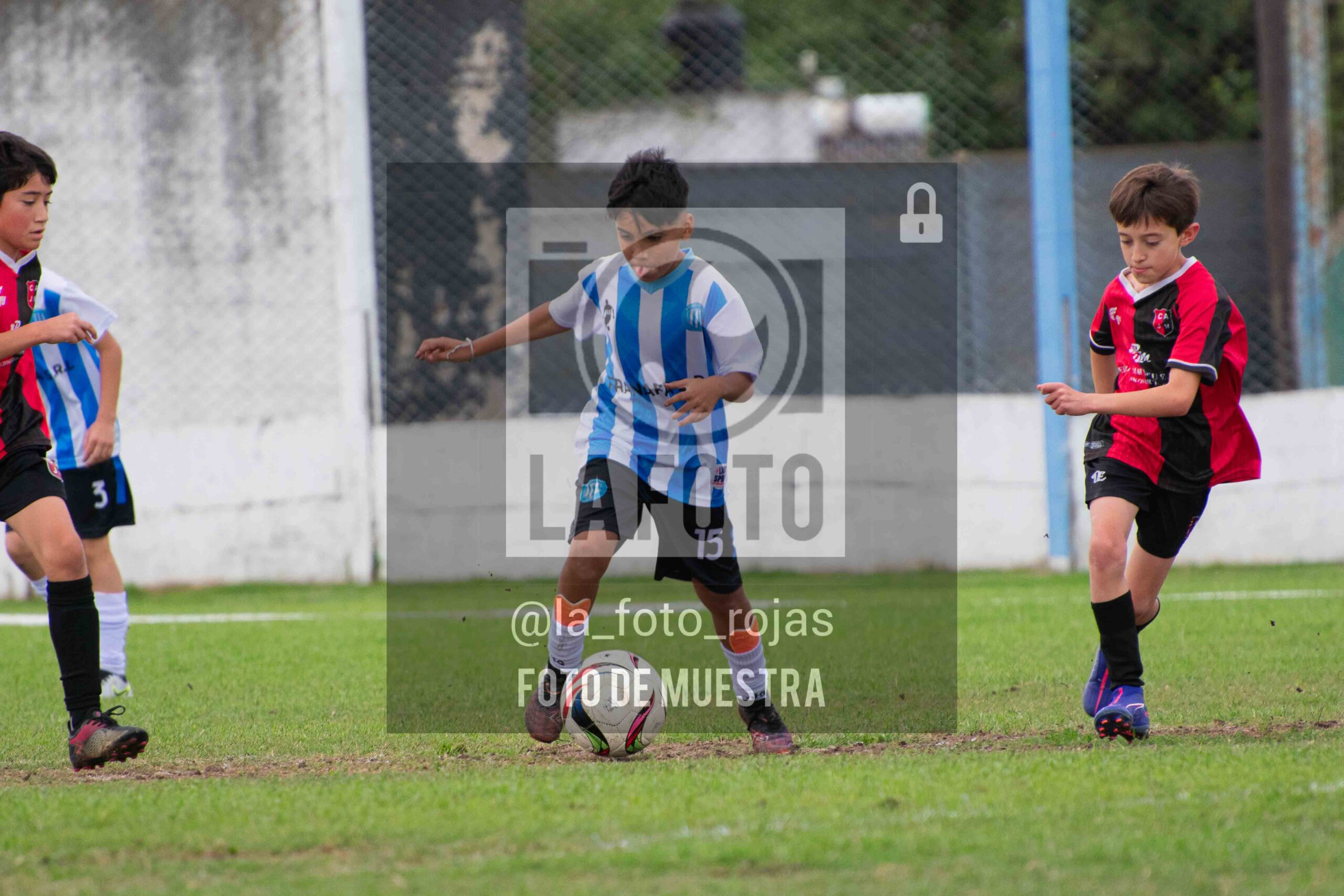 Fotografía 2014-ARG-NEW-61-scaled de ARGENTINO - NEWBERY / 2014 / 8-11