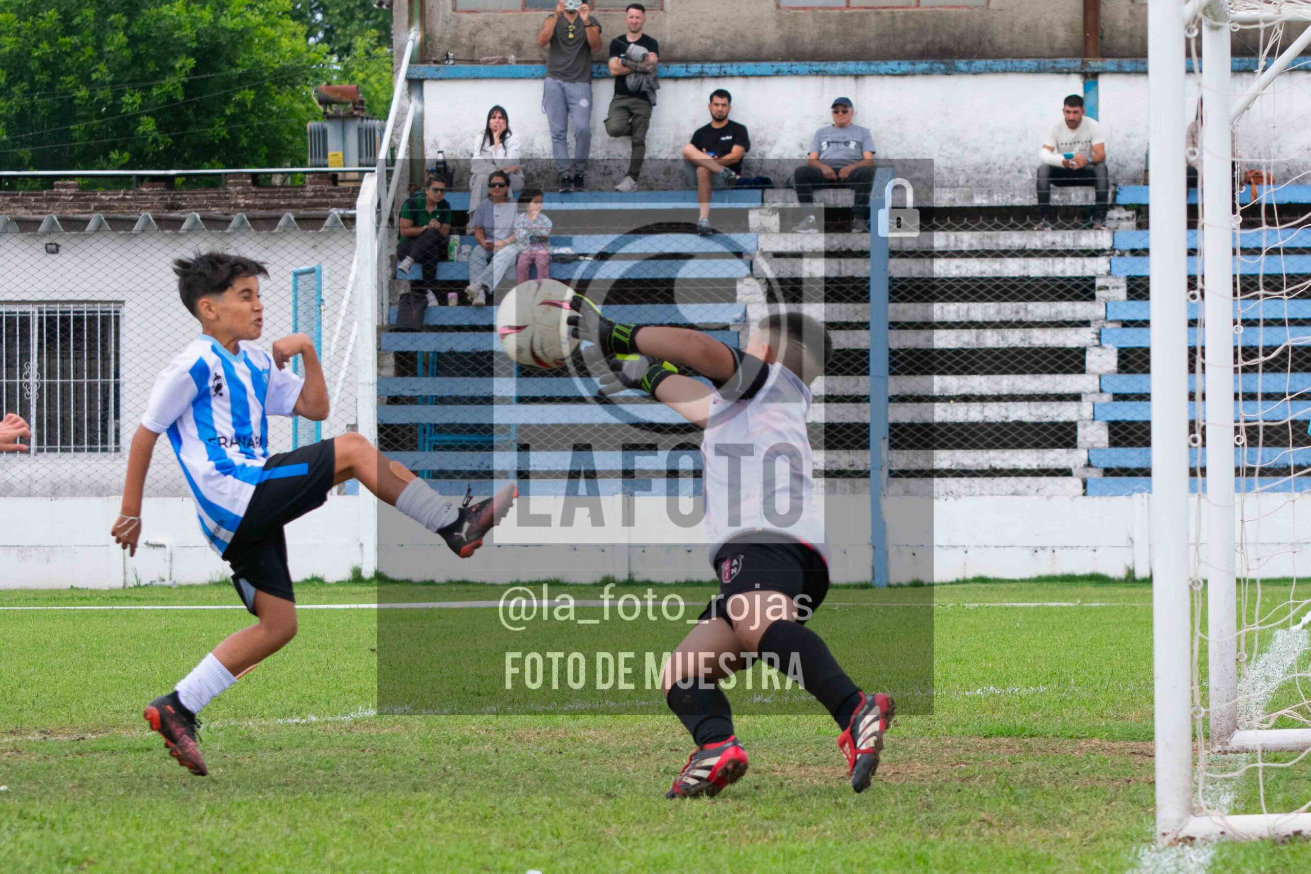Fotografía 2014-ARG-NEW-64-scaled de ARGENTINO - NEWBERY / 2014 / 8-11