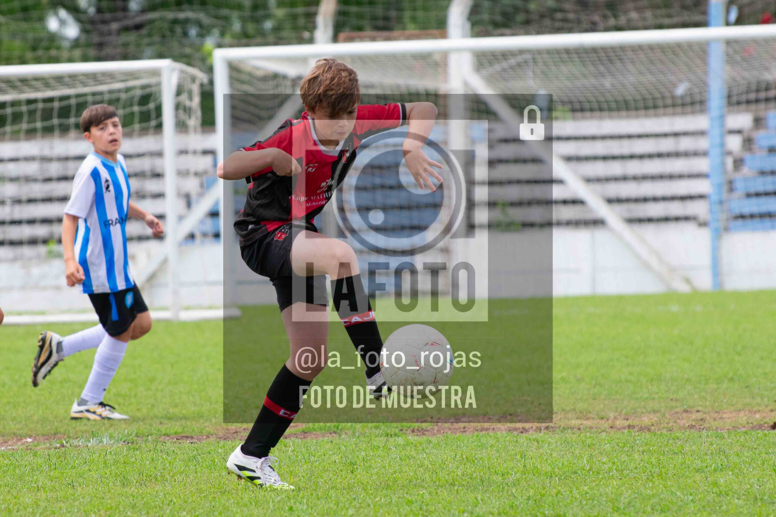 Fotografía 2014-ARG-NEW-7-scaled de ARGENTINO - NEWBERY / 2014 / 8-11
