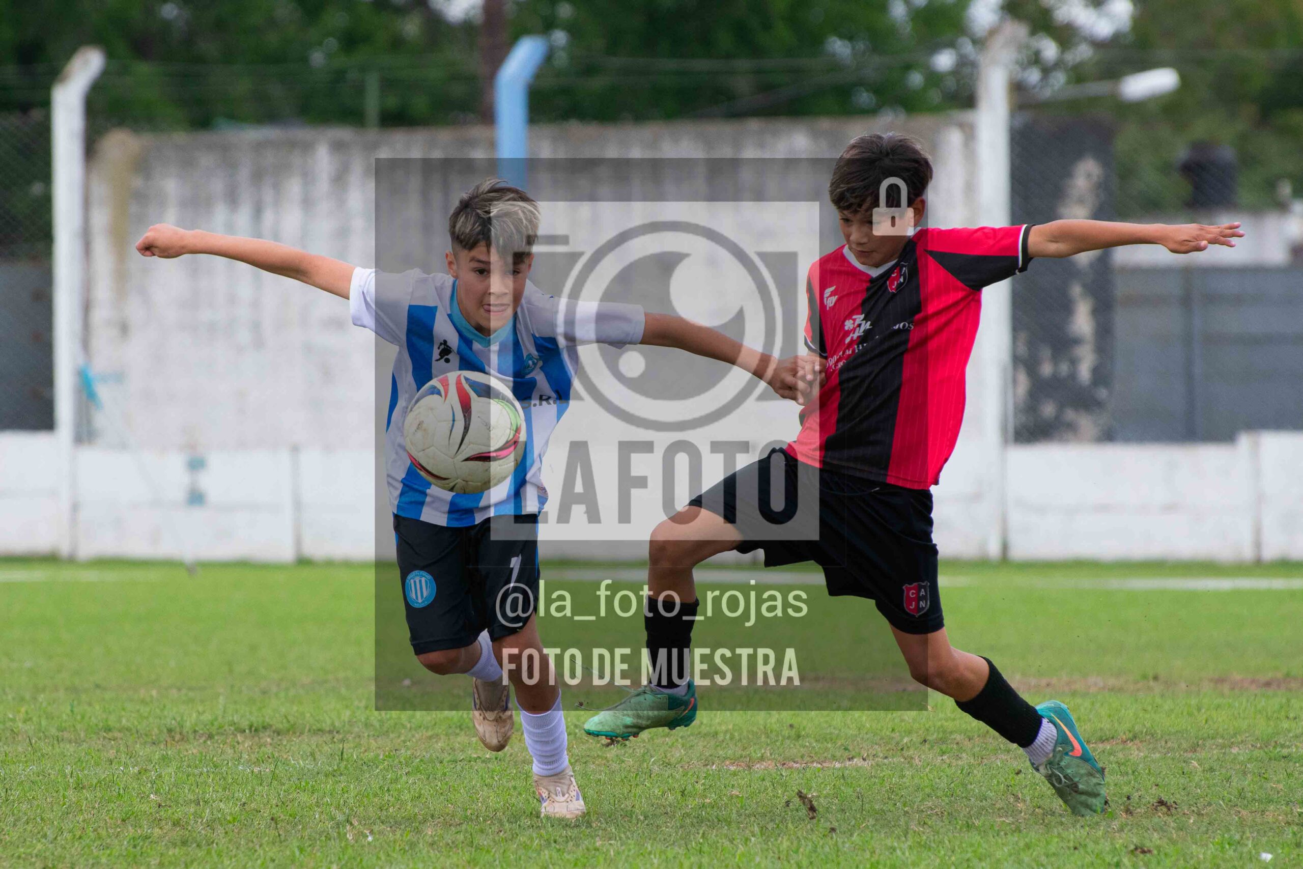Fotografía 2014-ARG-NEW-72-scaled de ARGENTINO - NEWBERY / 2014 / 8-11