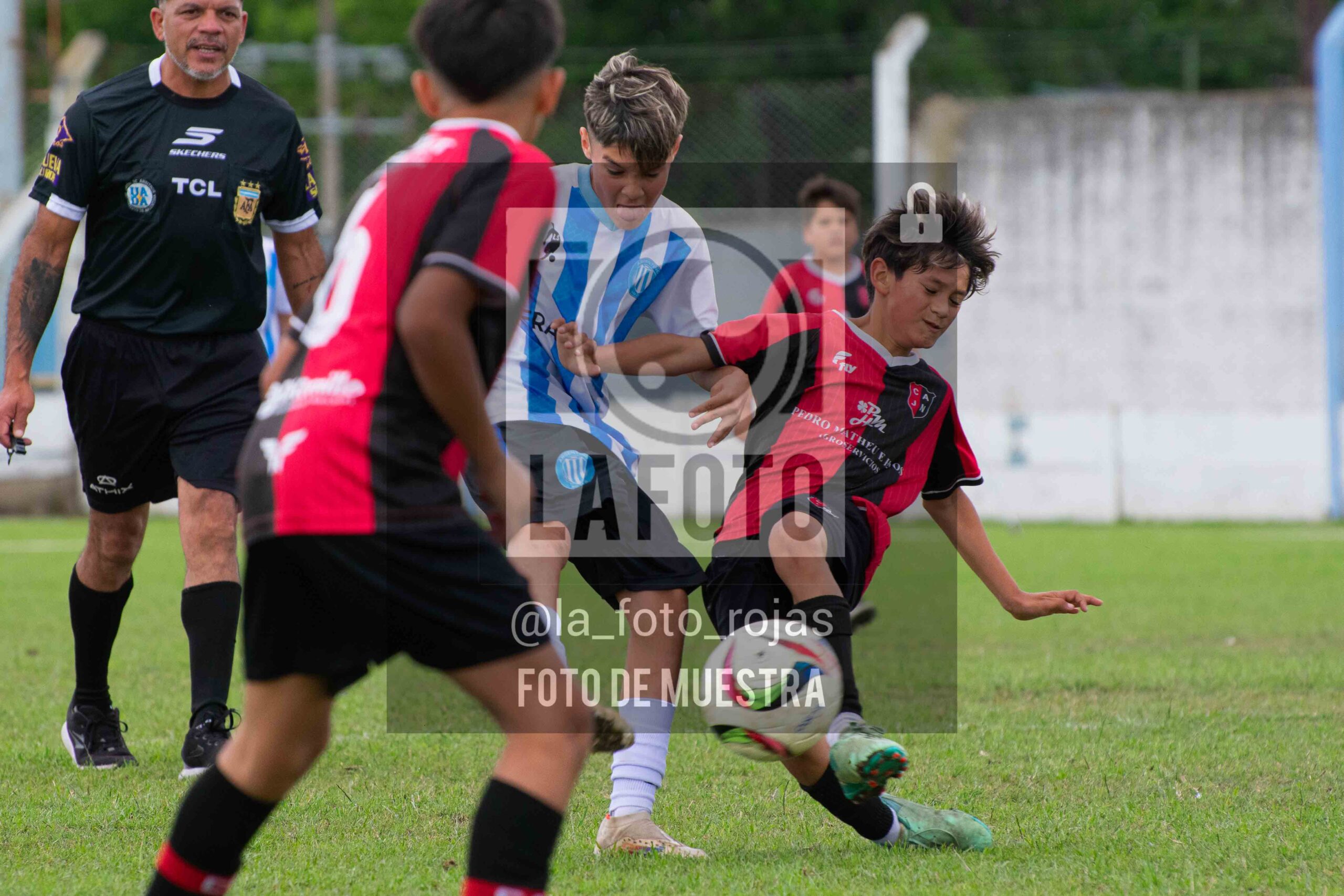 Fotografía 2014-ARG-NEW-73-scaled de ARGENTINO - NEWBERY / 2014 / 8-11