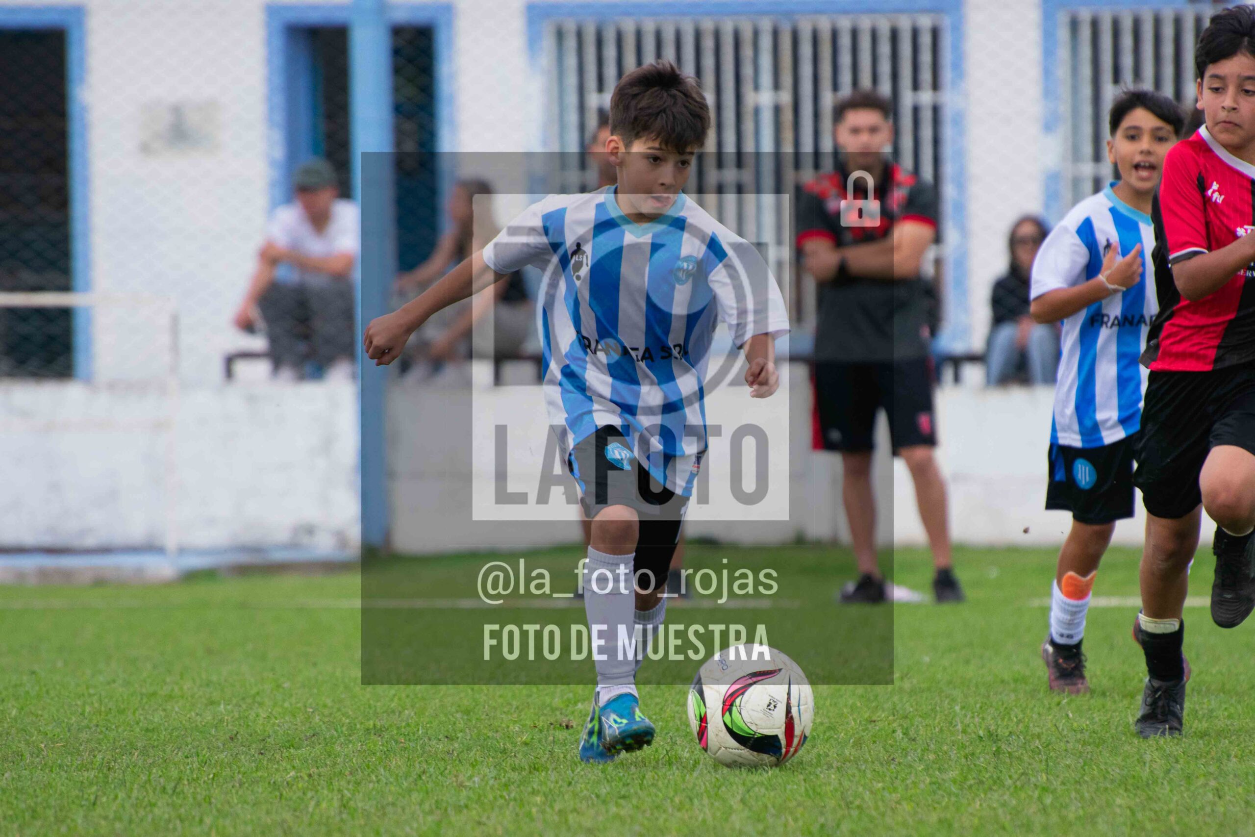 Fotografía 2014-ARG-NEW-74-scaled de ARGENTINO - NEWBERY / 2014 / 8-11
