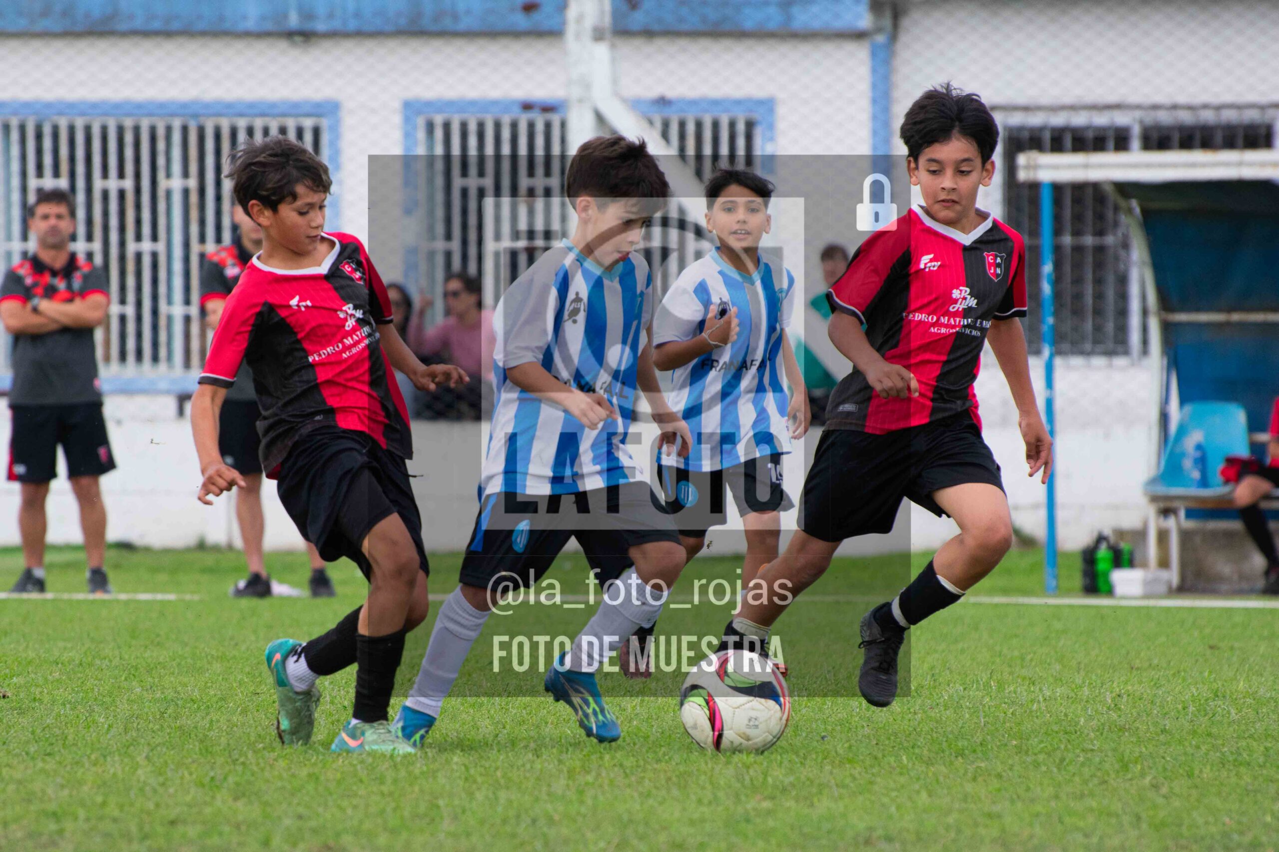 Fotografía 2014-ARG-NEW-75-scaled de ARGENTINO - NEWBERY / 2014 / 8-11