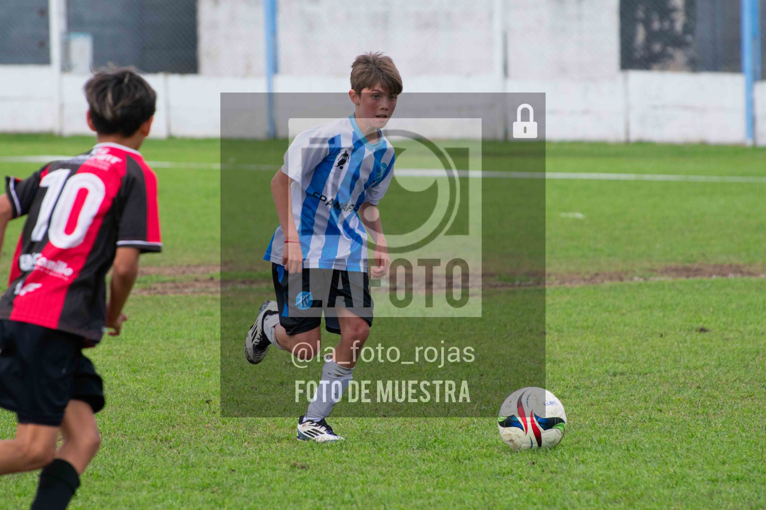Fotografía 2014-ARG-NEW-76-scaled de ARGENTINO - NEWBERY / 2014 / 8-11