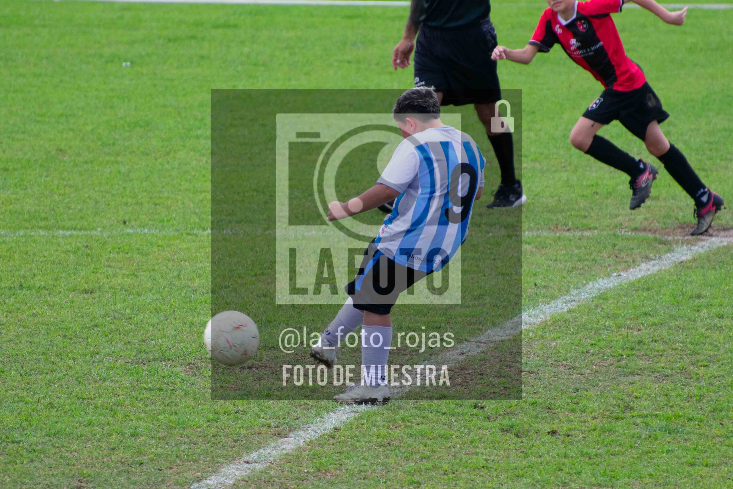 Fotografía 2014-ARG-NEW-77-scaled de ARGENTINO - NEWBERY / 2014 / 8-11