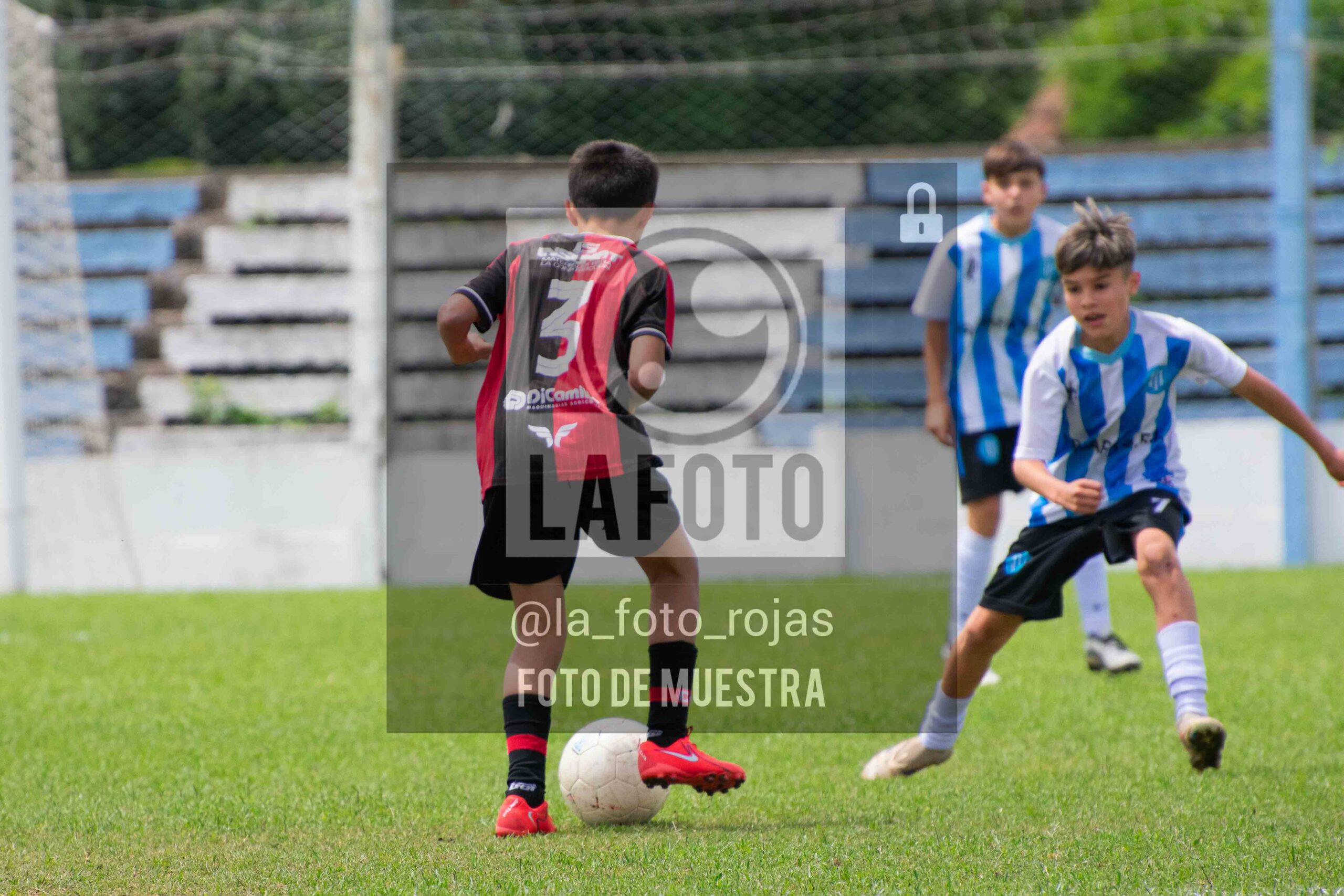 Fotografía 2014-ARG-NEW-8-scaled de ARGENTINO - NEWBERY / 2014 / 8-11