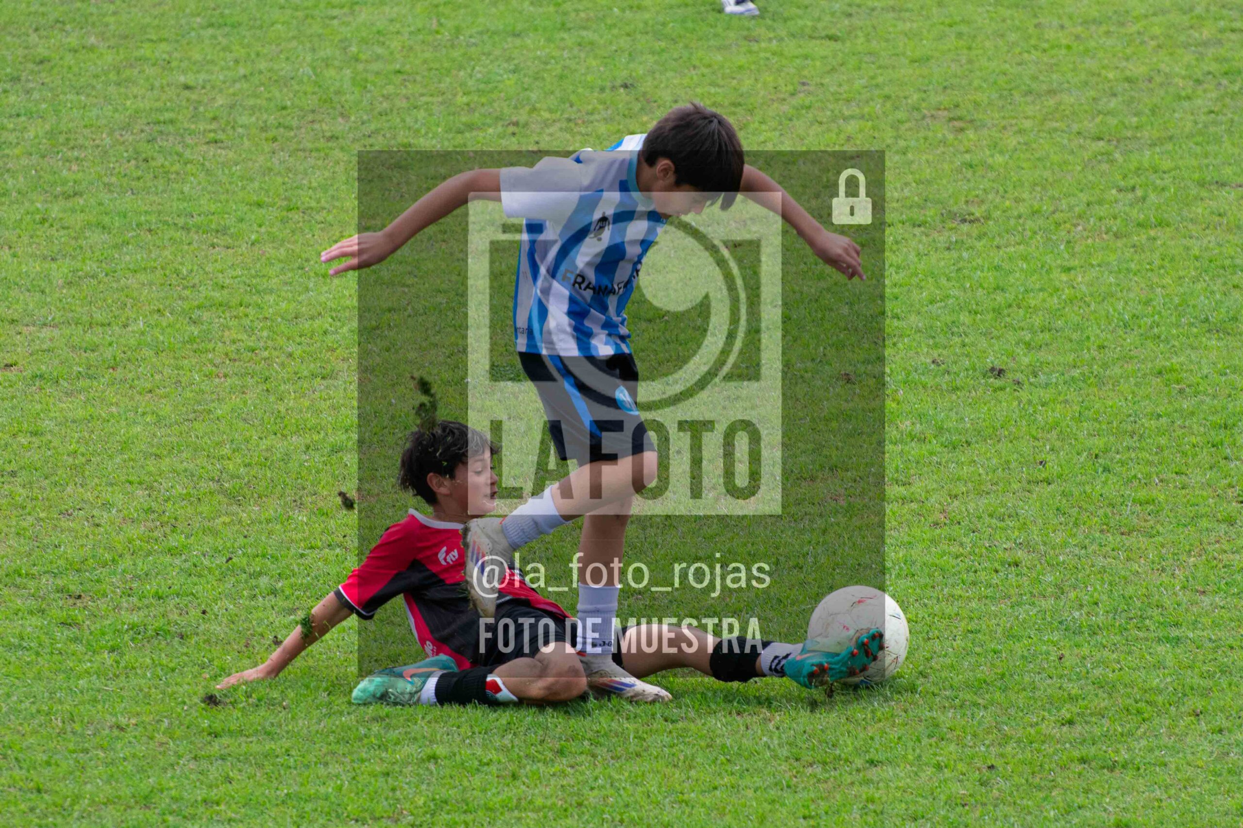 Fotografía 2014-ARG-NEW-87-scaled de ARGENTINO - NEWBERY / 2014 / 8-11