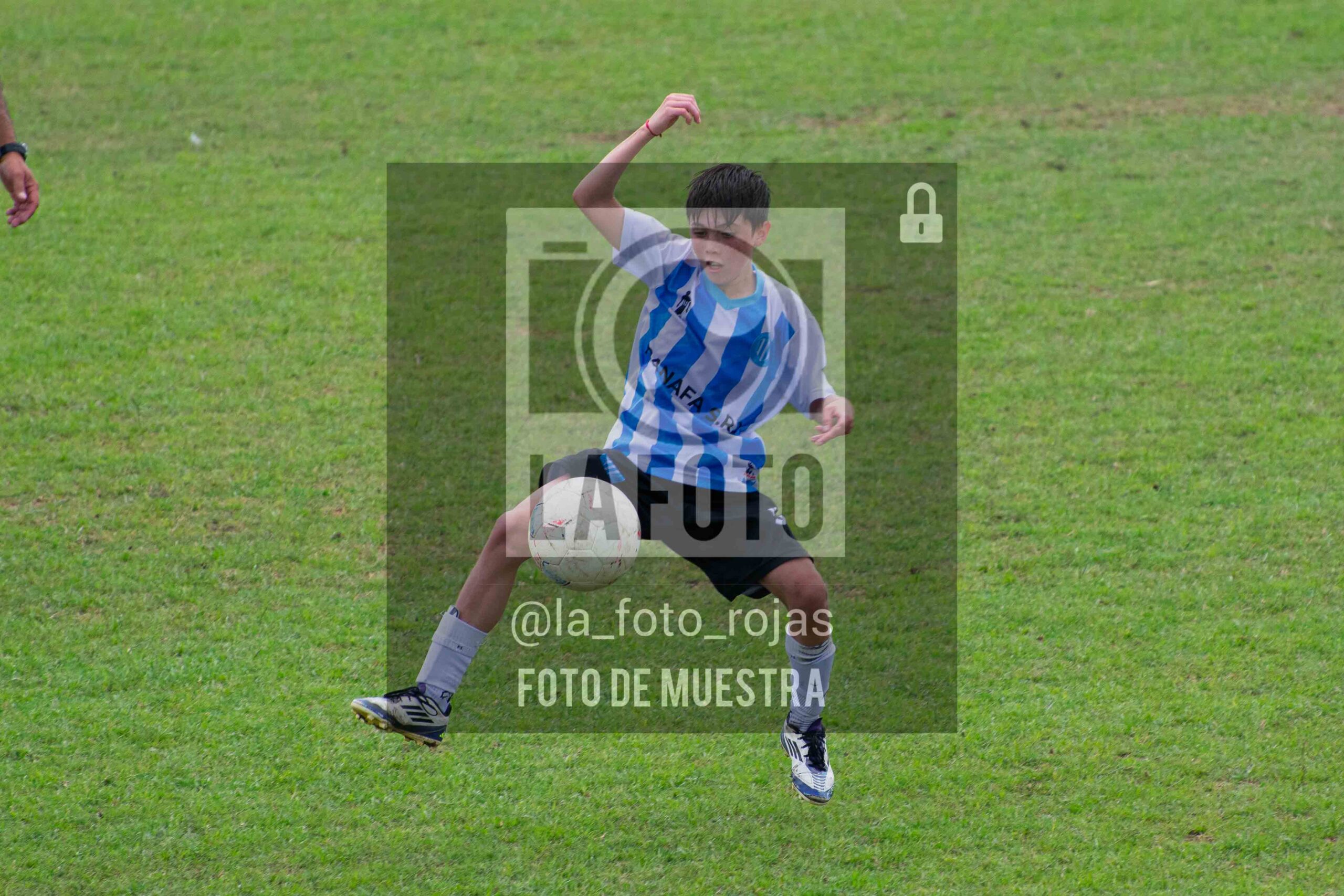 Fotografía 2014-ARG-NEW-91-scaled de ARGENTINO - NEWBERY / 2014 / 8-11