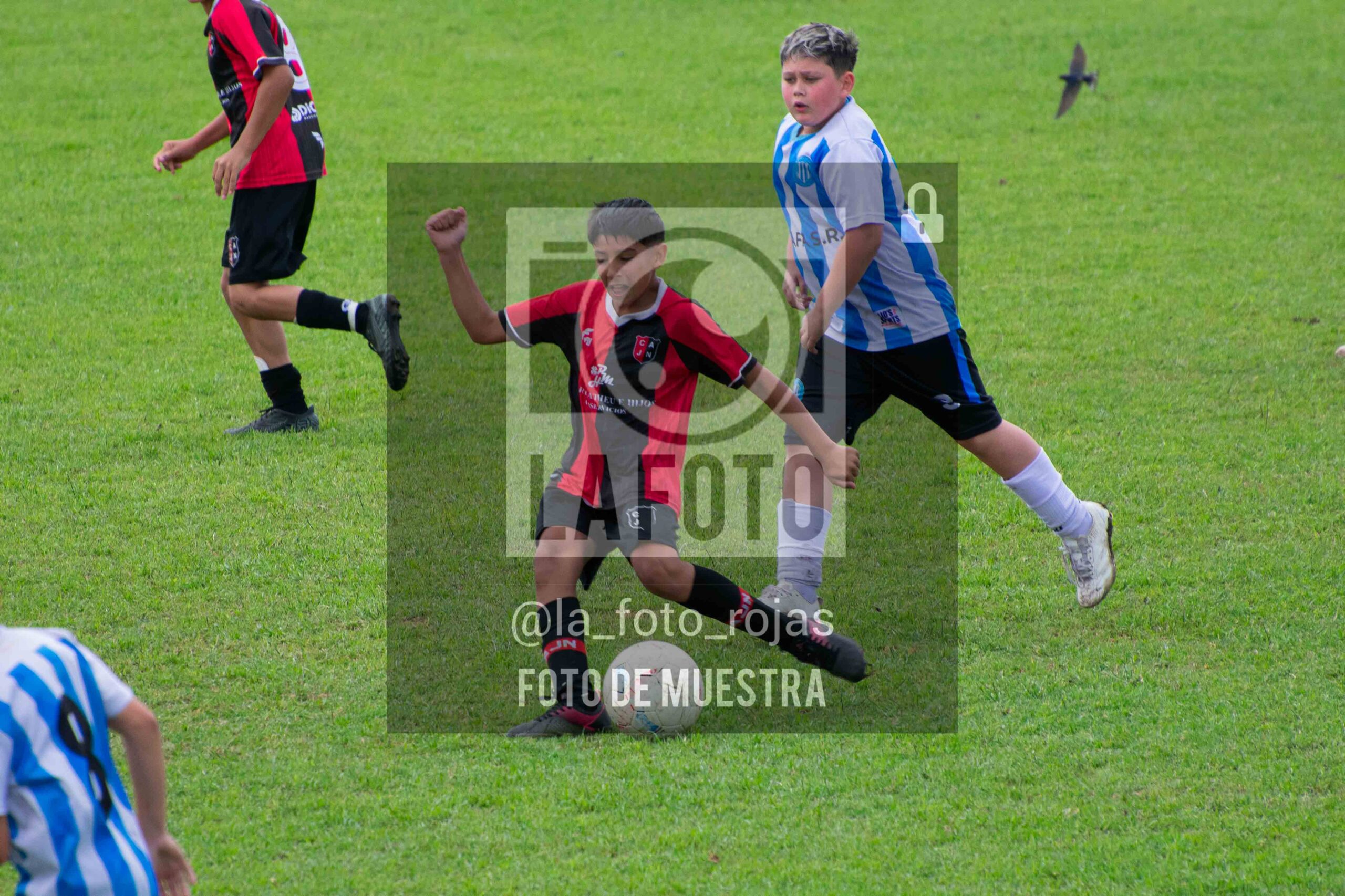 Fotografía 2014-ARG-NEW-92-scaled de ARGENTINO - NEWBERY / 2014 / 8-11