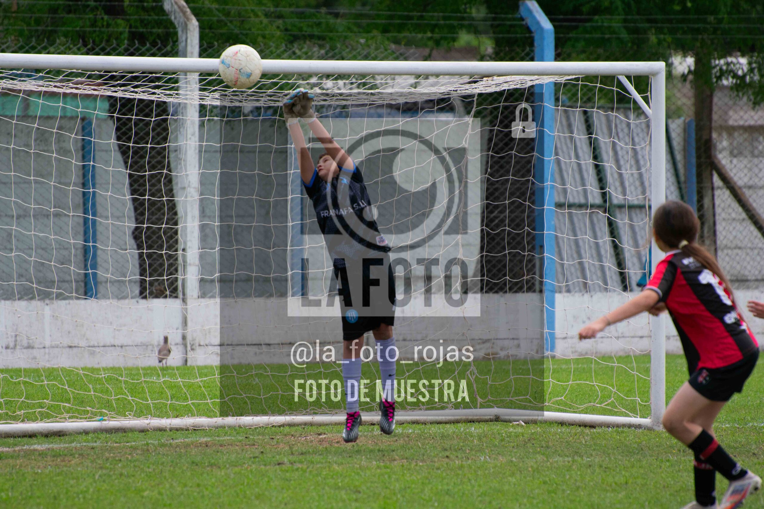 Fotografía 2014-ARG-NEW-93-scaled de ARGENTINO - NEWBERY / 2014 / 8-11