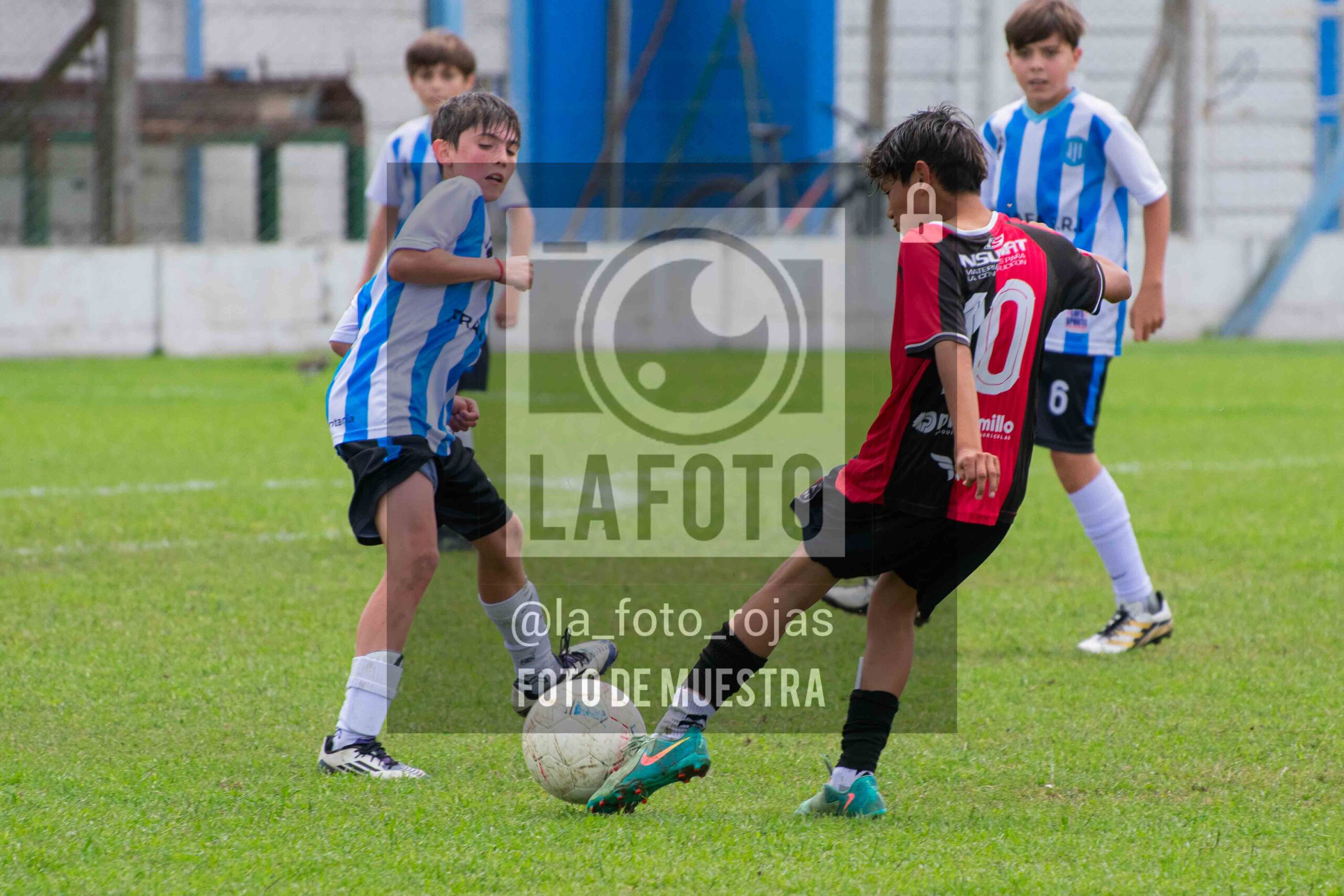 Fotografía 2014-ARG-NEW-94-scaled de ARGENTINO - NEWBERY / 2014 / 8-11