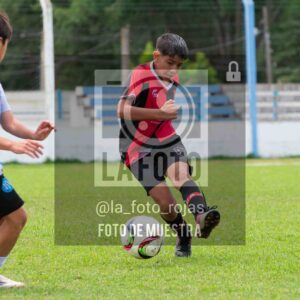 Fotografía 2014-ARG-NEW-99-scaled de ARGENTINO - NEWBERY / 2014 / 8-11