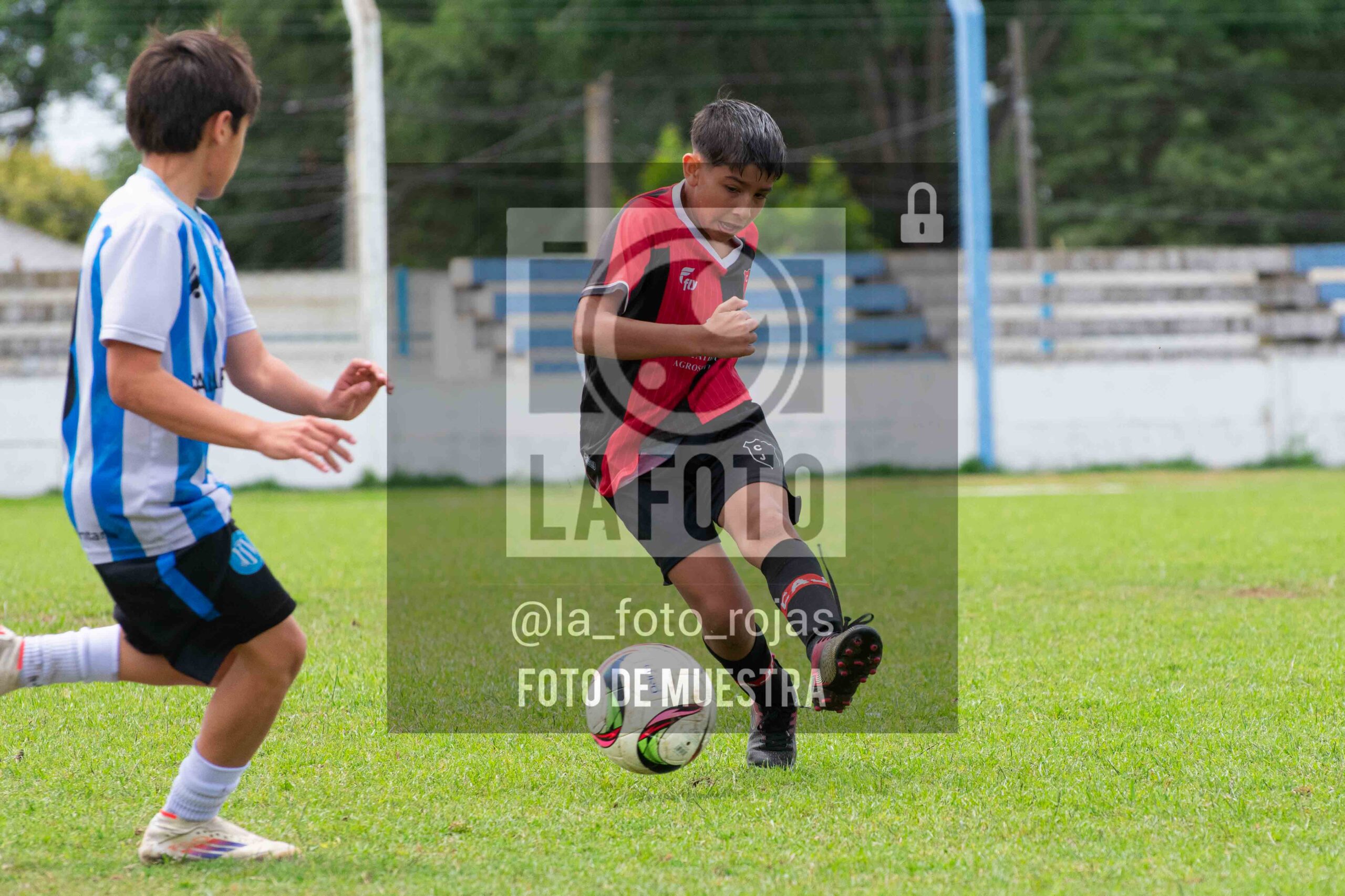 Fotografía 2014-ARG-NEW-99-scaled de ARGENTINO - NEWBERY / 2014 / 8-11