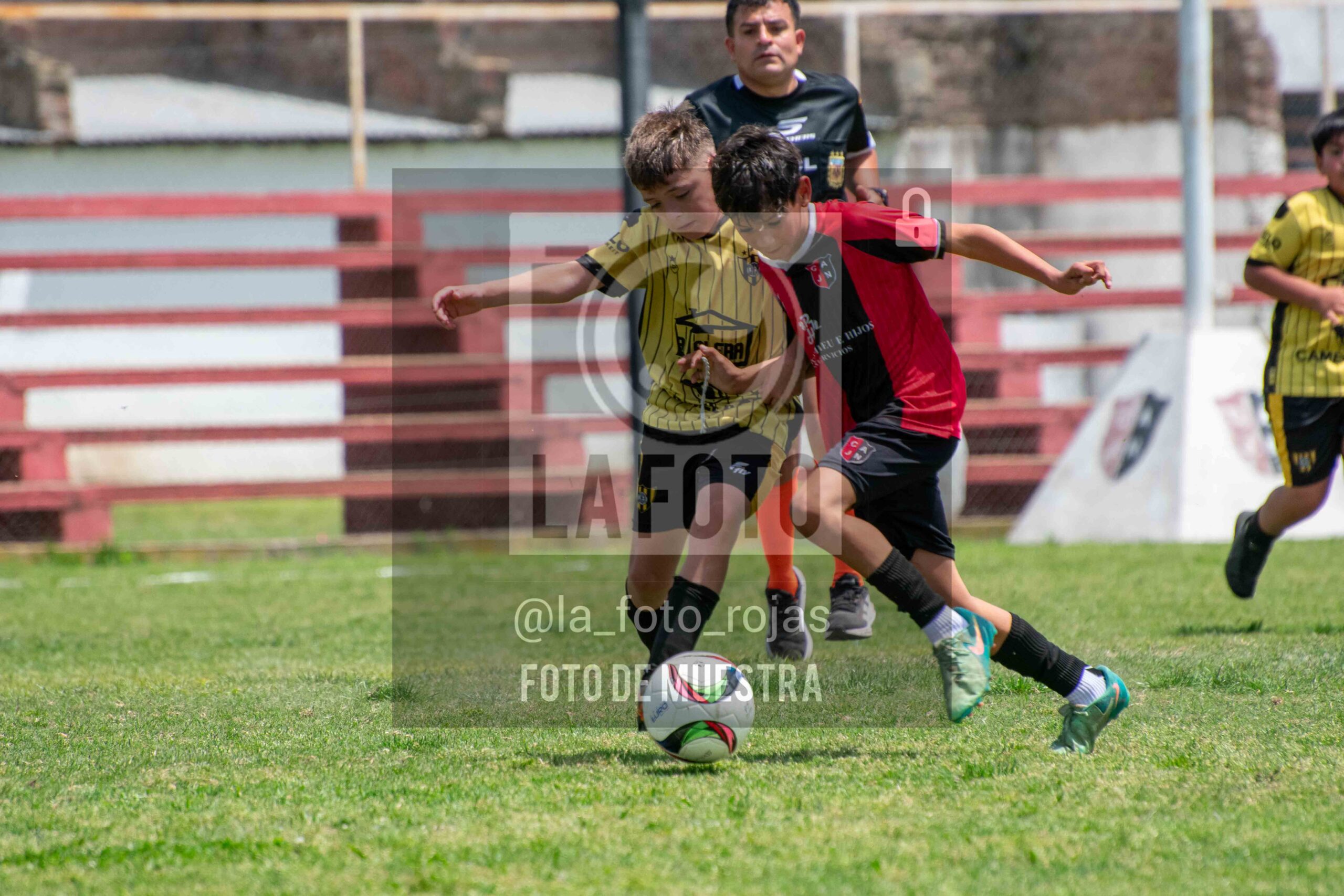 Fotografía 2014-NEW-HURA-100-scaled de NEWBERY - HURACAN / 2014