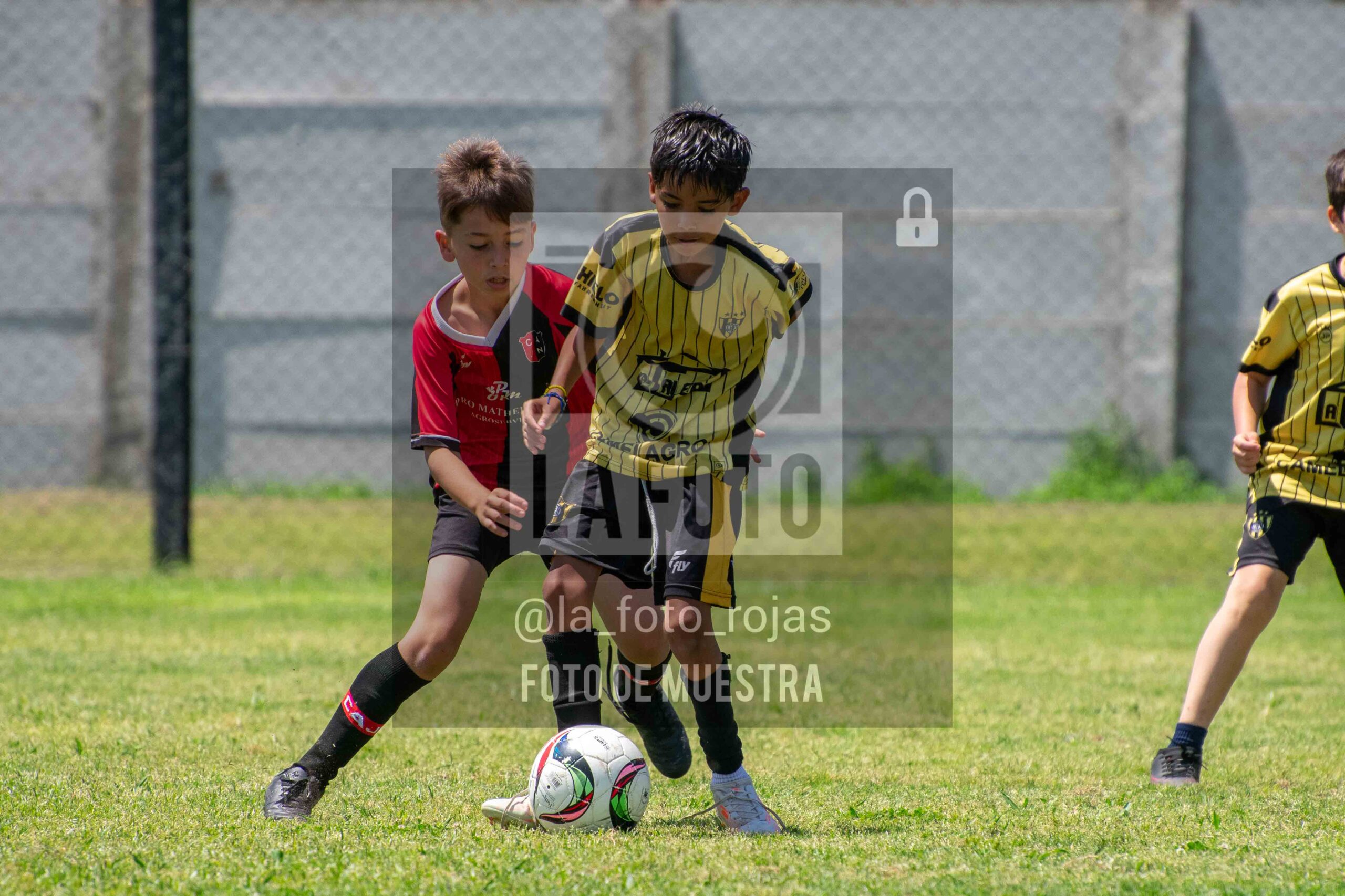 Fotografía 2014-NEW-HURA-18-scaled de NEWBERY - HURACAN / 2014