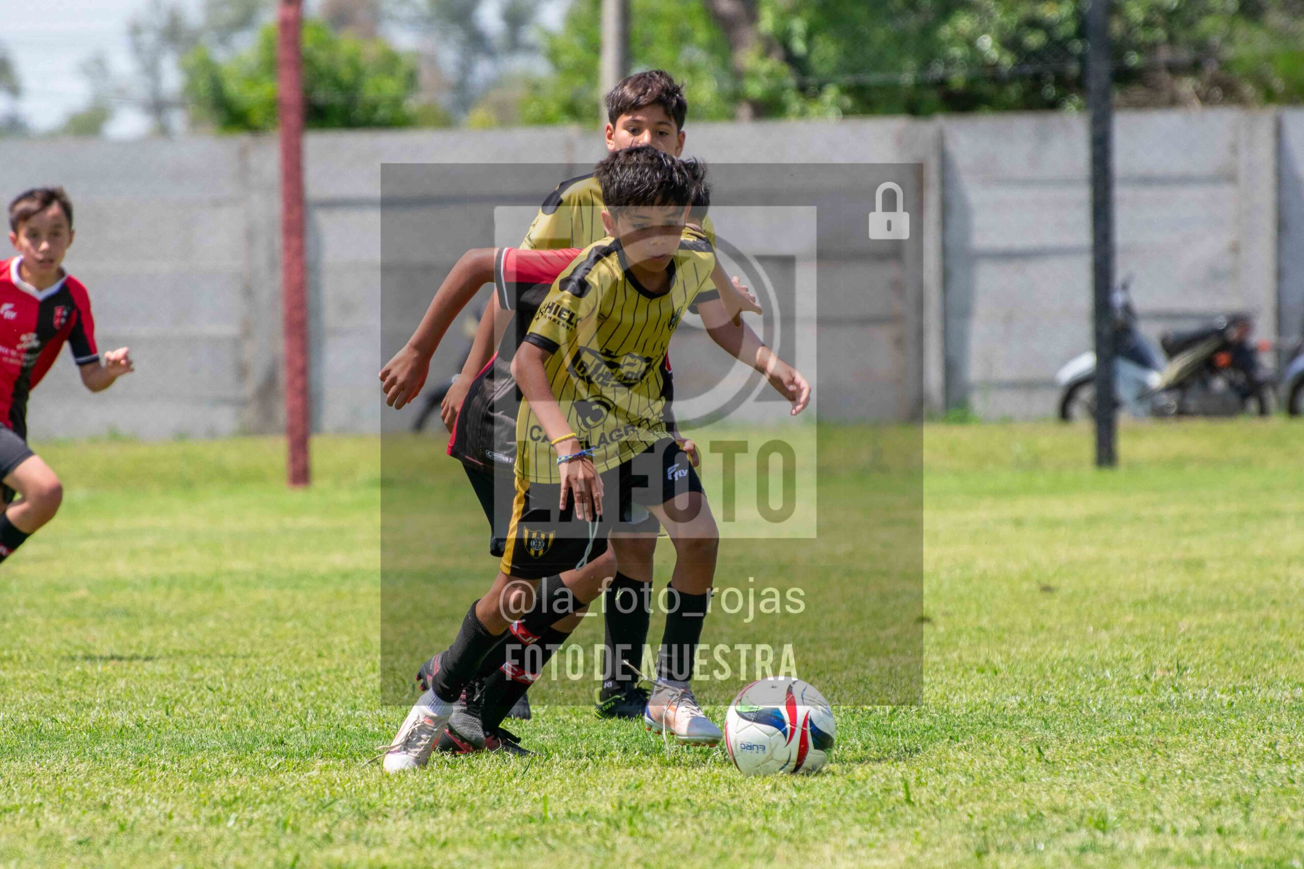 Fotografía 2014-NEW-HURA-39-scaled de NEWBERY - HURACAN / 2014