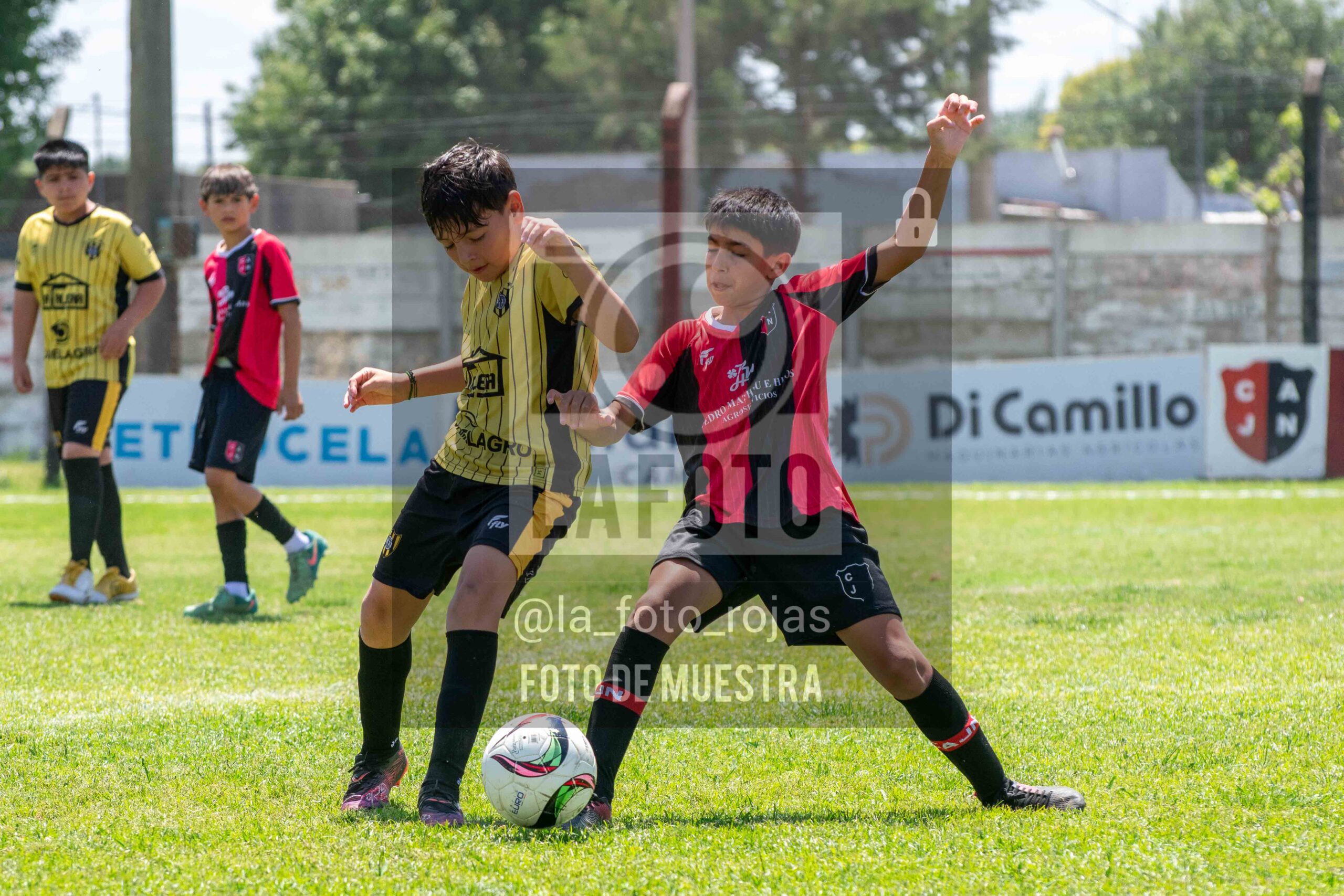 Fotografía 2014-NEW-HURA-5-scaled de NEWBERY - HURACAN / 2014