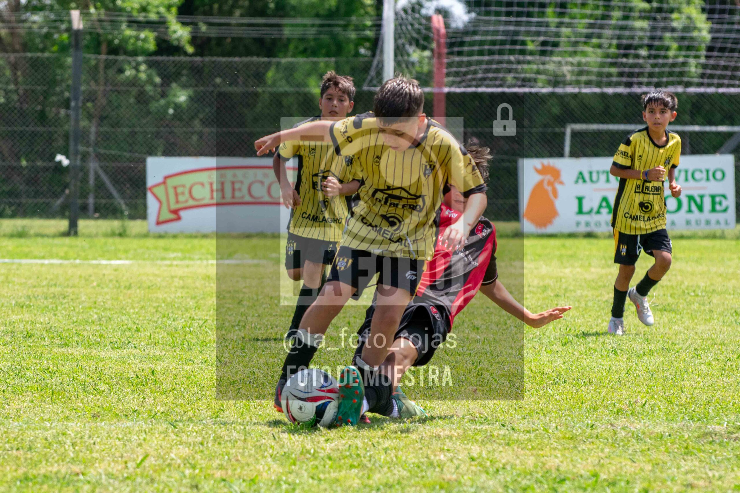 Fotografía 2014-NEW-HURA-53-scaled de NEWBERY - HURACAN / 2014