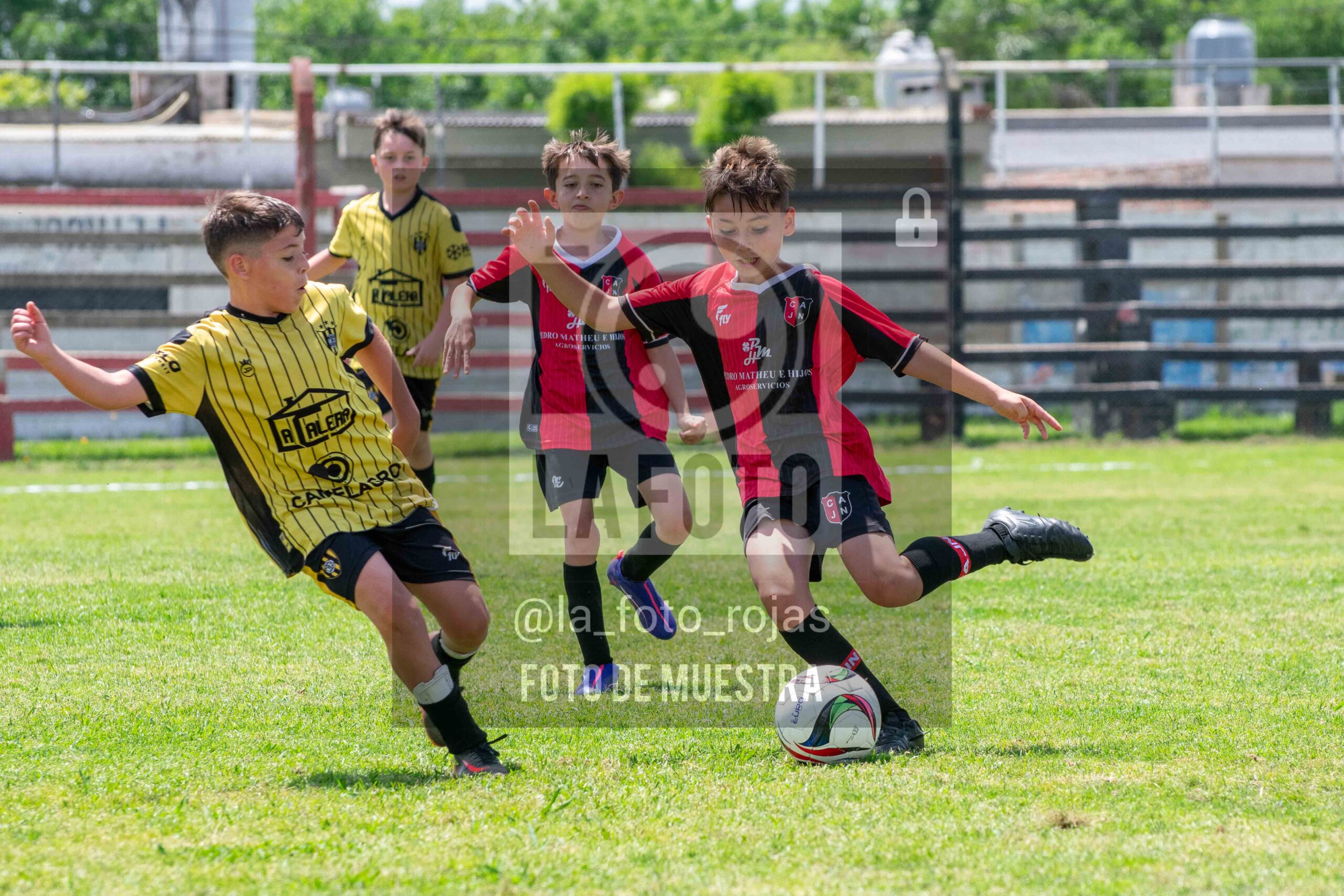 Fotografía 2014-NEW-HURA-59-scaled de NEWBERY - HURACAN / 2014