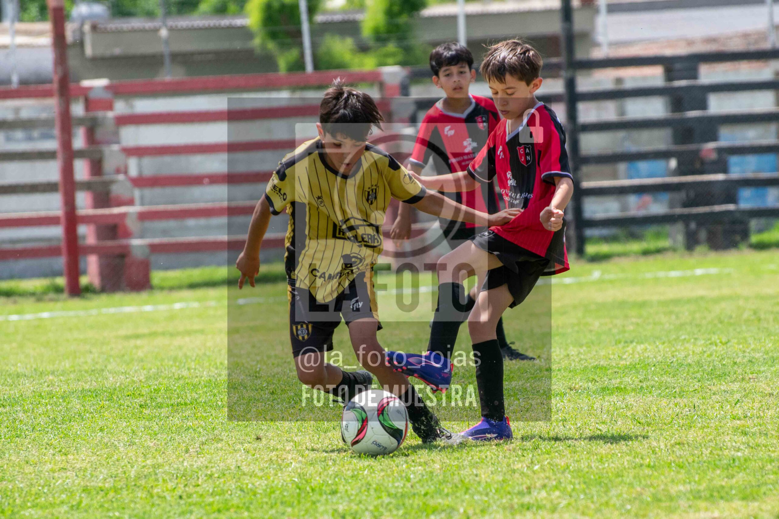 Fotografía 2014-NEW-HURA-61-scaled de NEWBERY - HURACAN / 2014