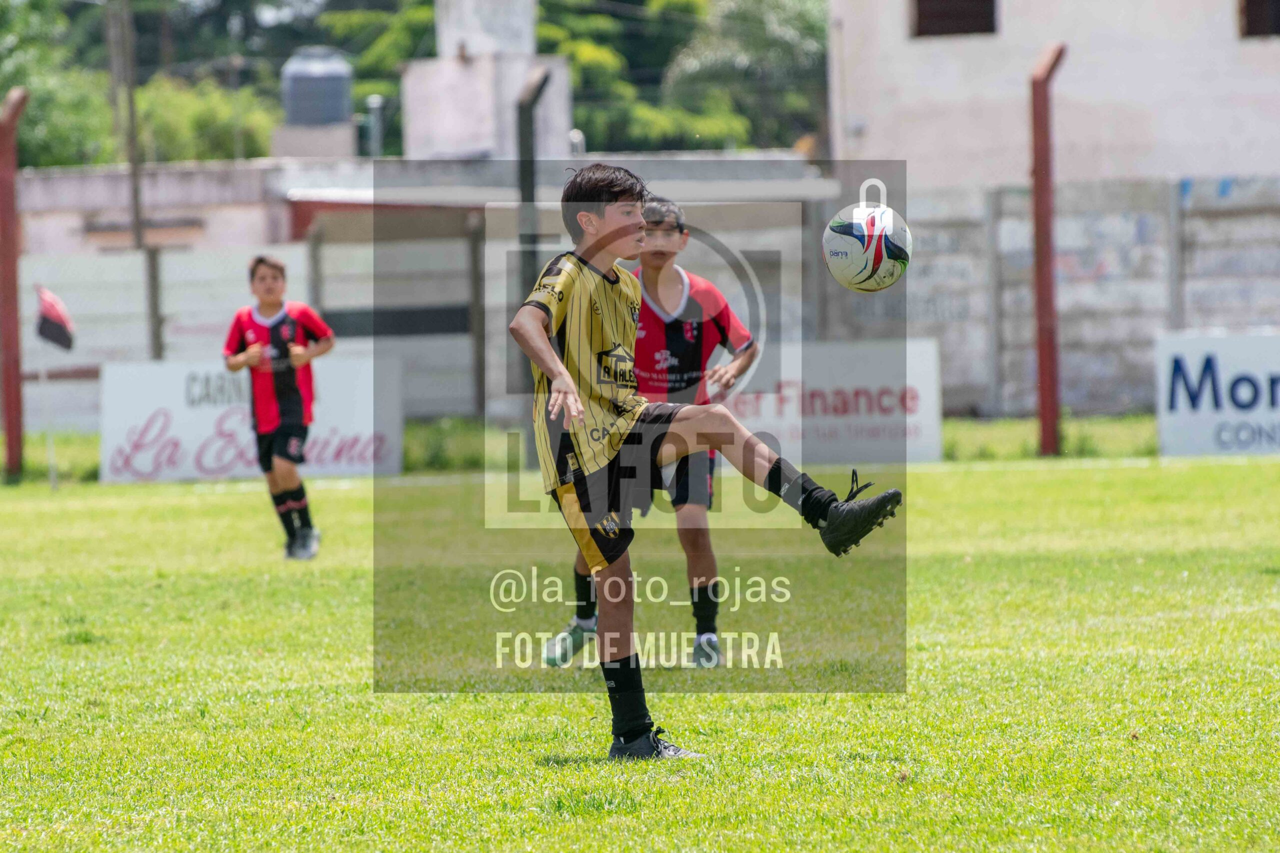 Fotografía 2014-NEW-HURA-71-scaled de NEWBERY - HURACAN / 2014
