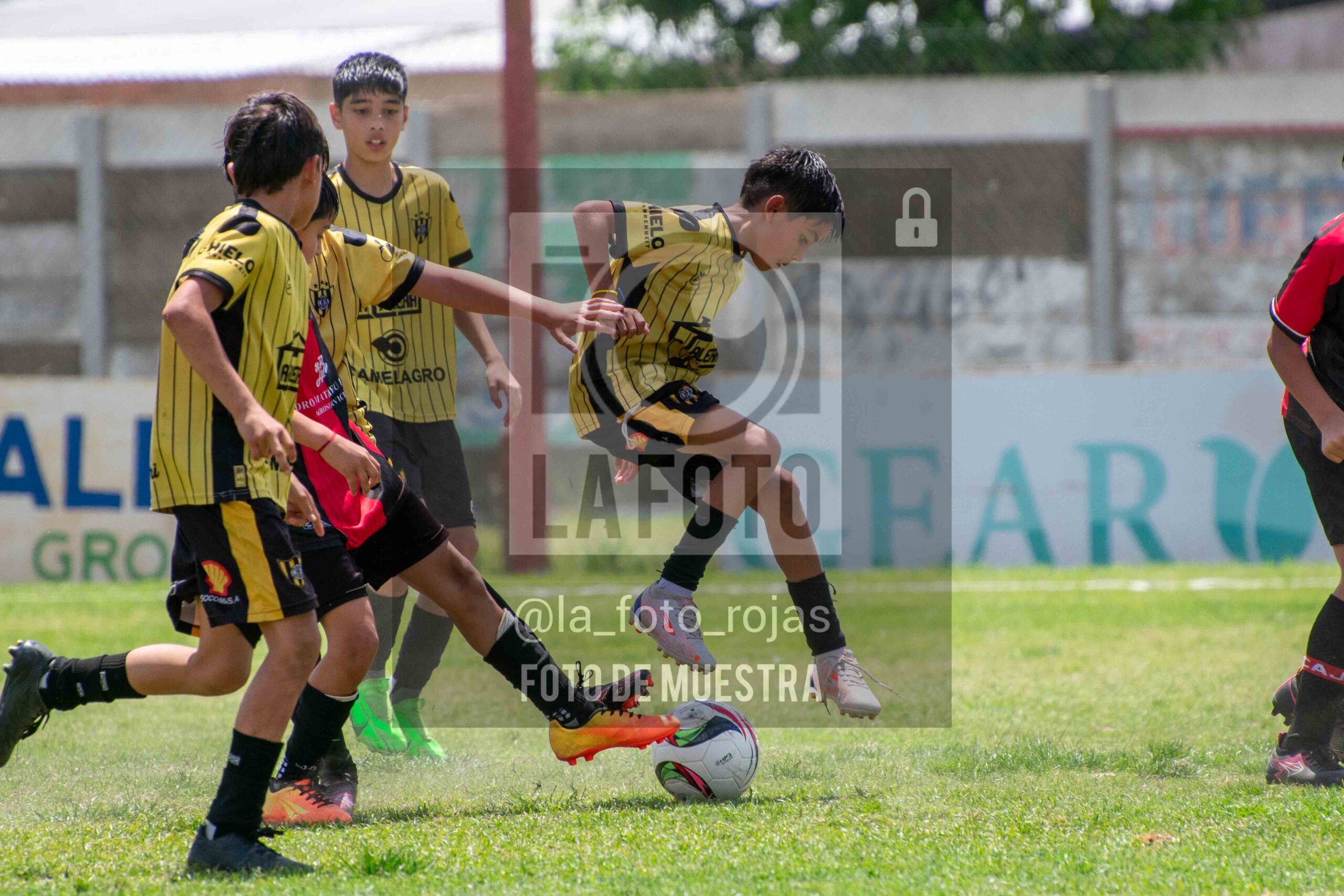 Fotografía 2014-NEW-HURA-73-scaled de NEWBERY - HURACAN / 2014